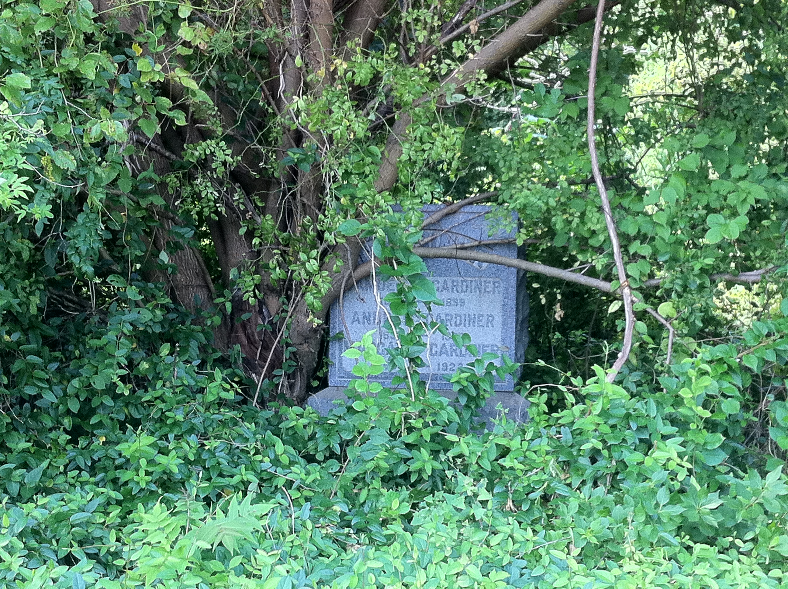 Holding out hope for Mount Moriah Cemetery