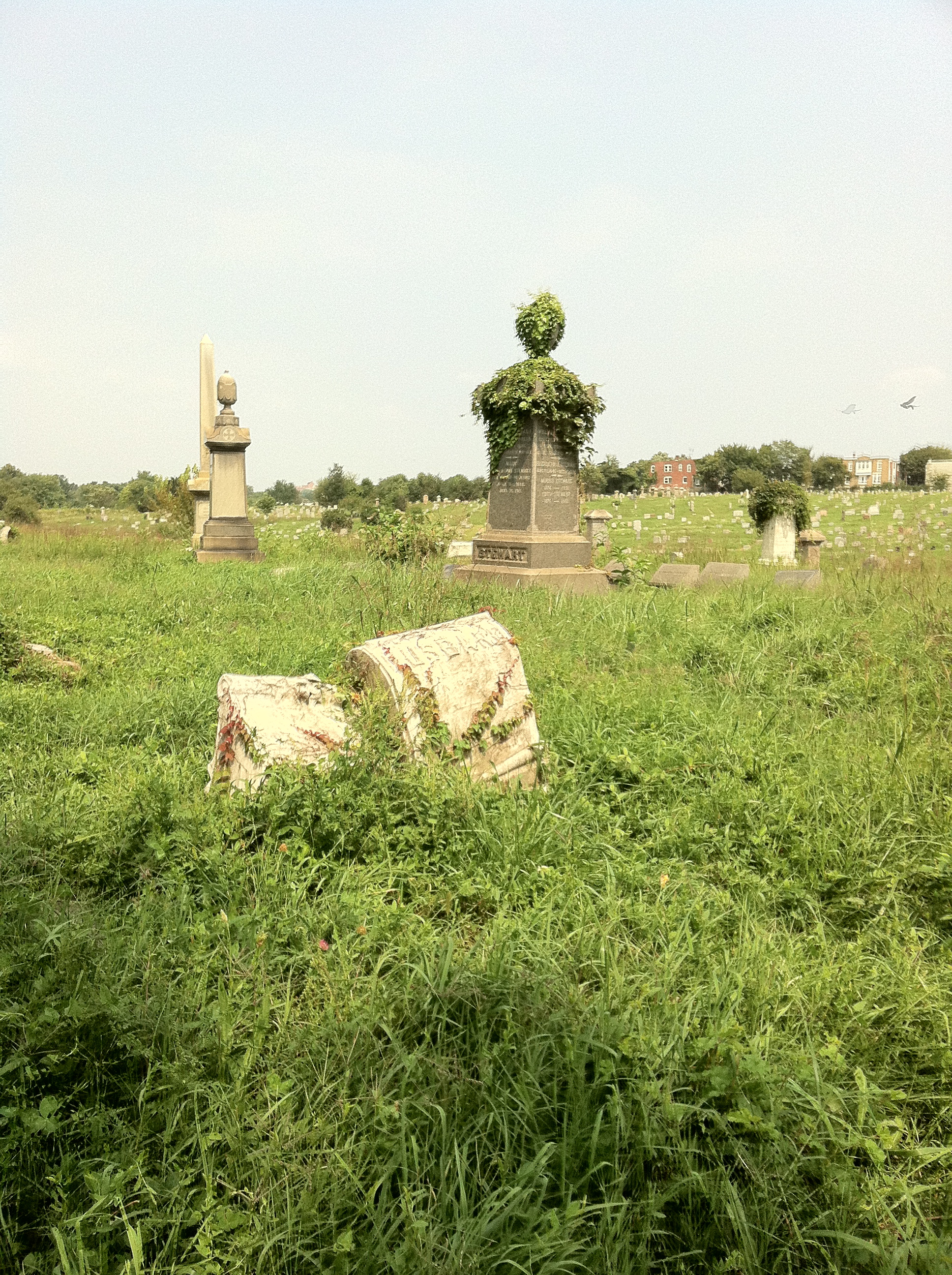 Holding out hope for Mount Moriah Cemetery