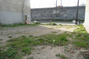 The vacant lot next to Doris Berris’ house has filled with weeds and trash