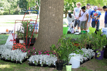 Frankford residents visited Overington Park Saturday to purchase plants donated by local gardeners to help raise money for future park events. Photo/Frankford Gazette