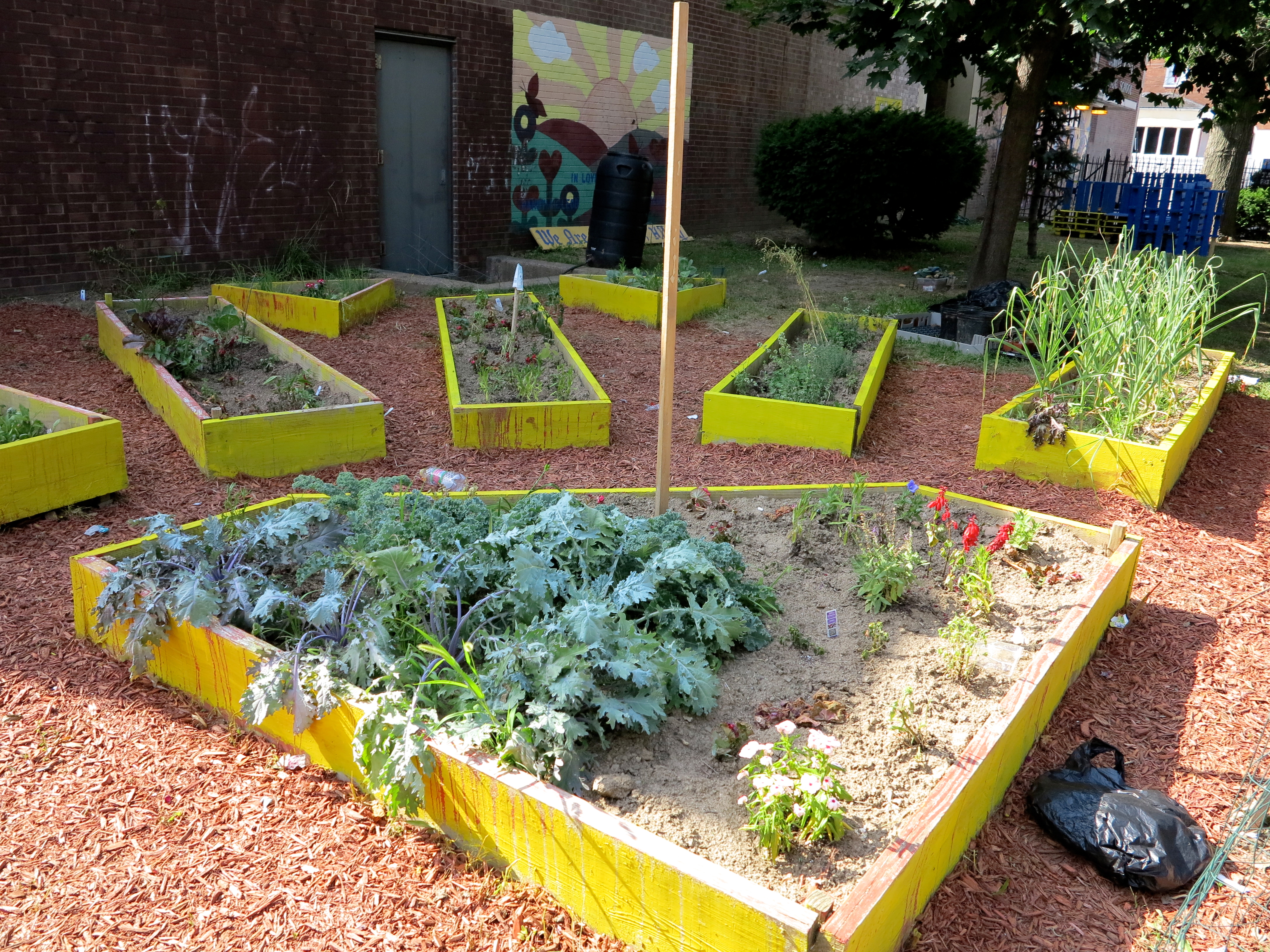 Huey Elementary's repainted, planted and weeded raised beds in a sunburst pattern.