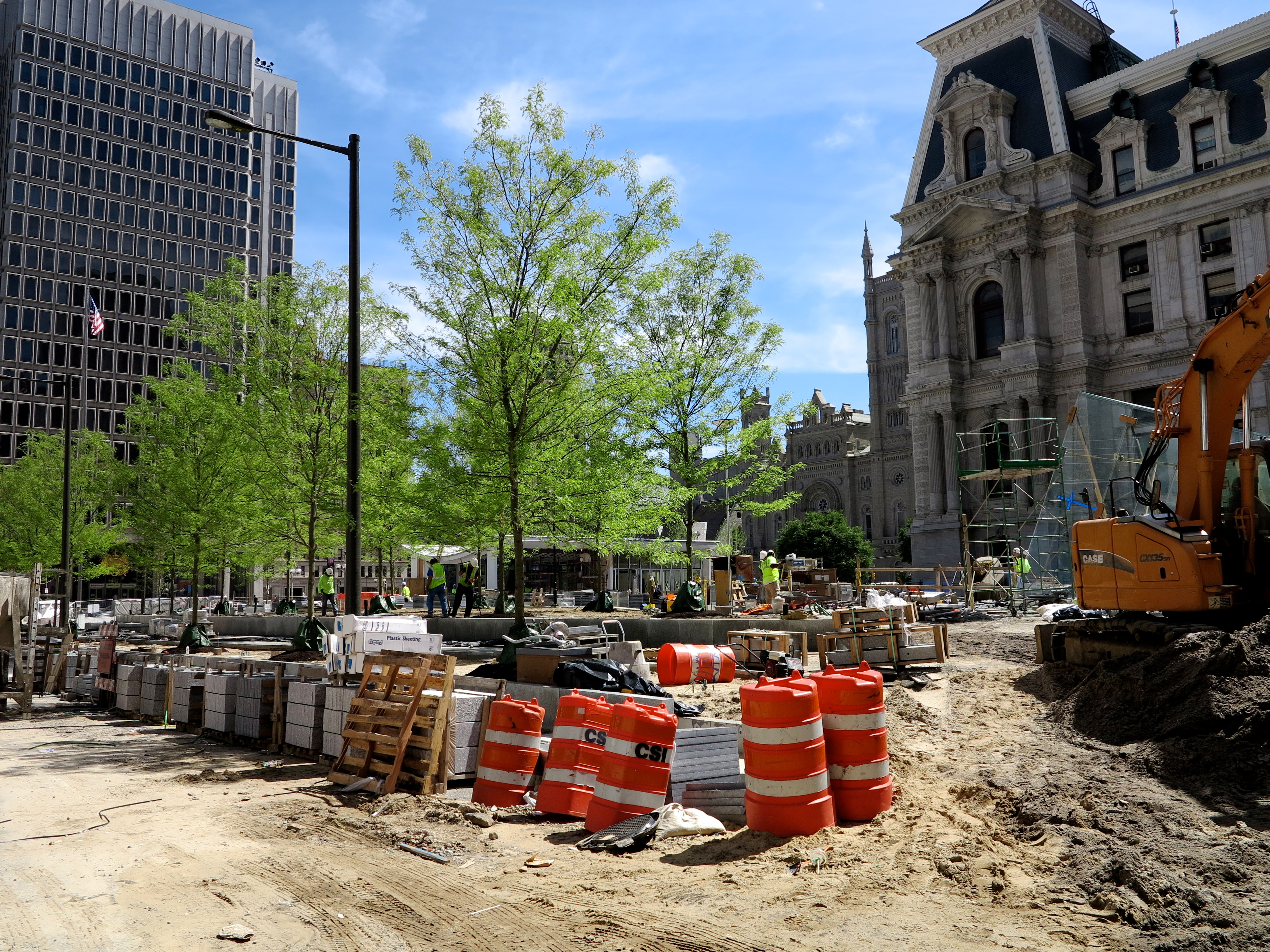 Trees planted at Dilworth Plaza, June 2014