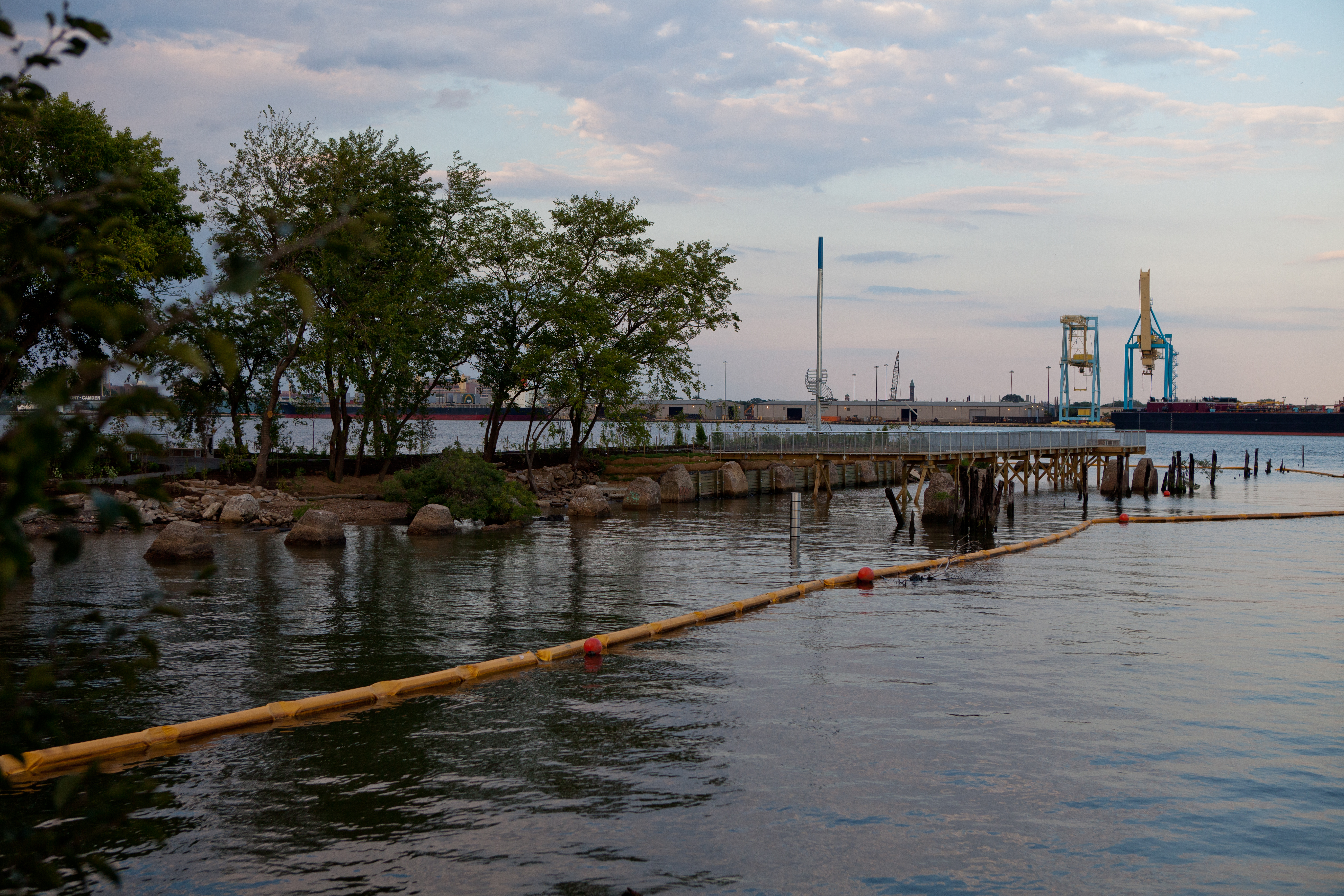 A view of the new Pier 53 park. Photo by Douglas Bovitt for DRWC.