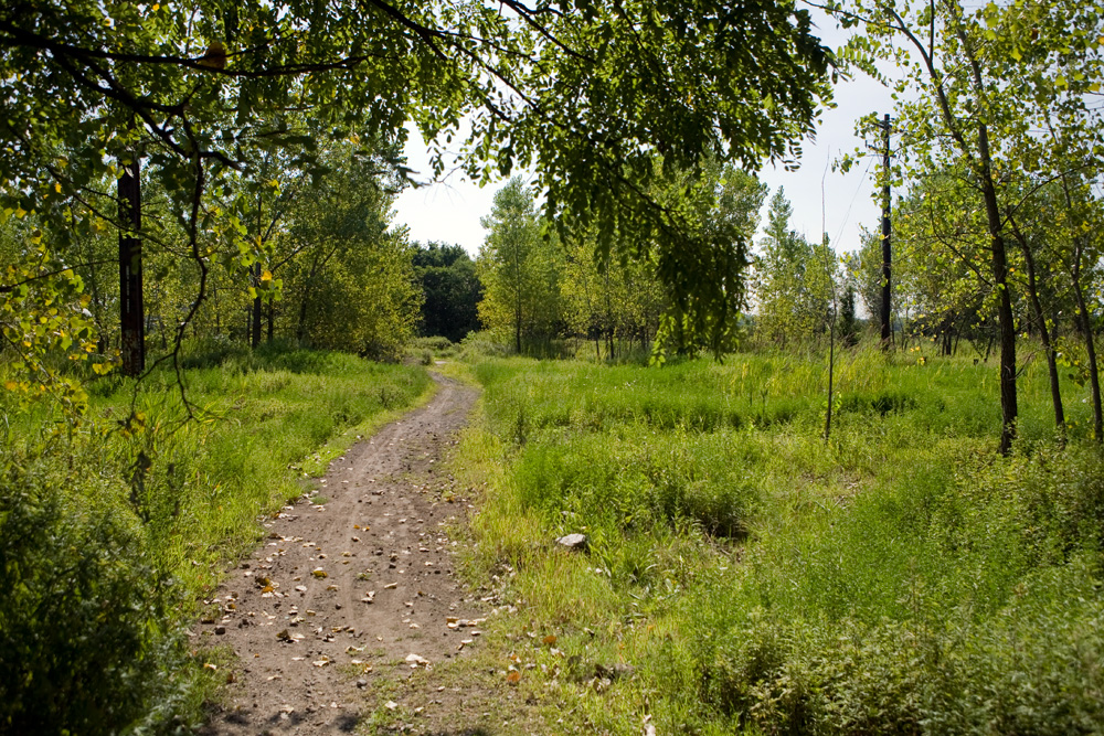 An access trail leads from Orthodox Street to the Delaware River through the former Coke Company site. | Bradley Maule