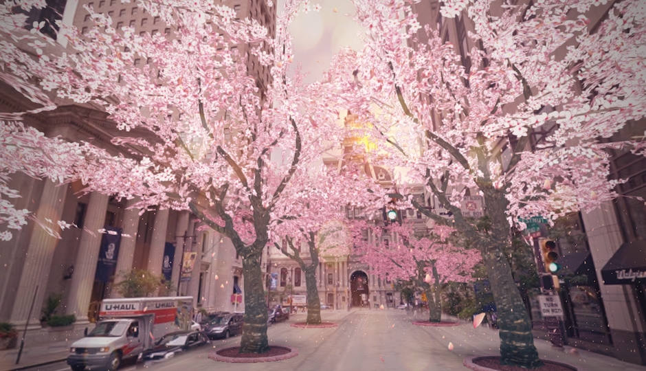 city hall cherry blossoms