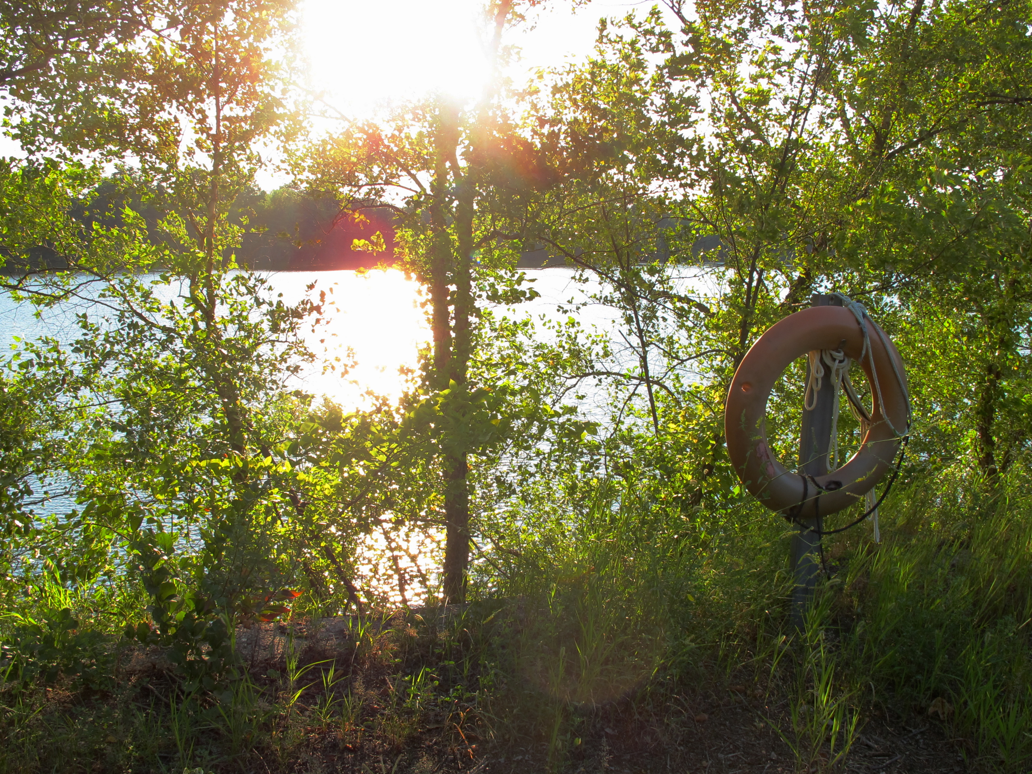 Golden hour, East Park Reservoir, August 2015
