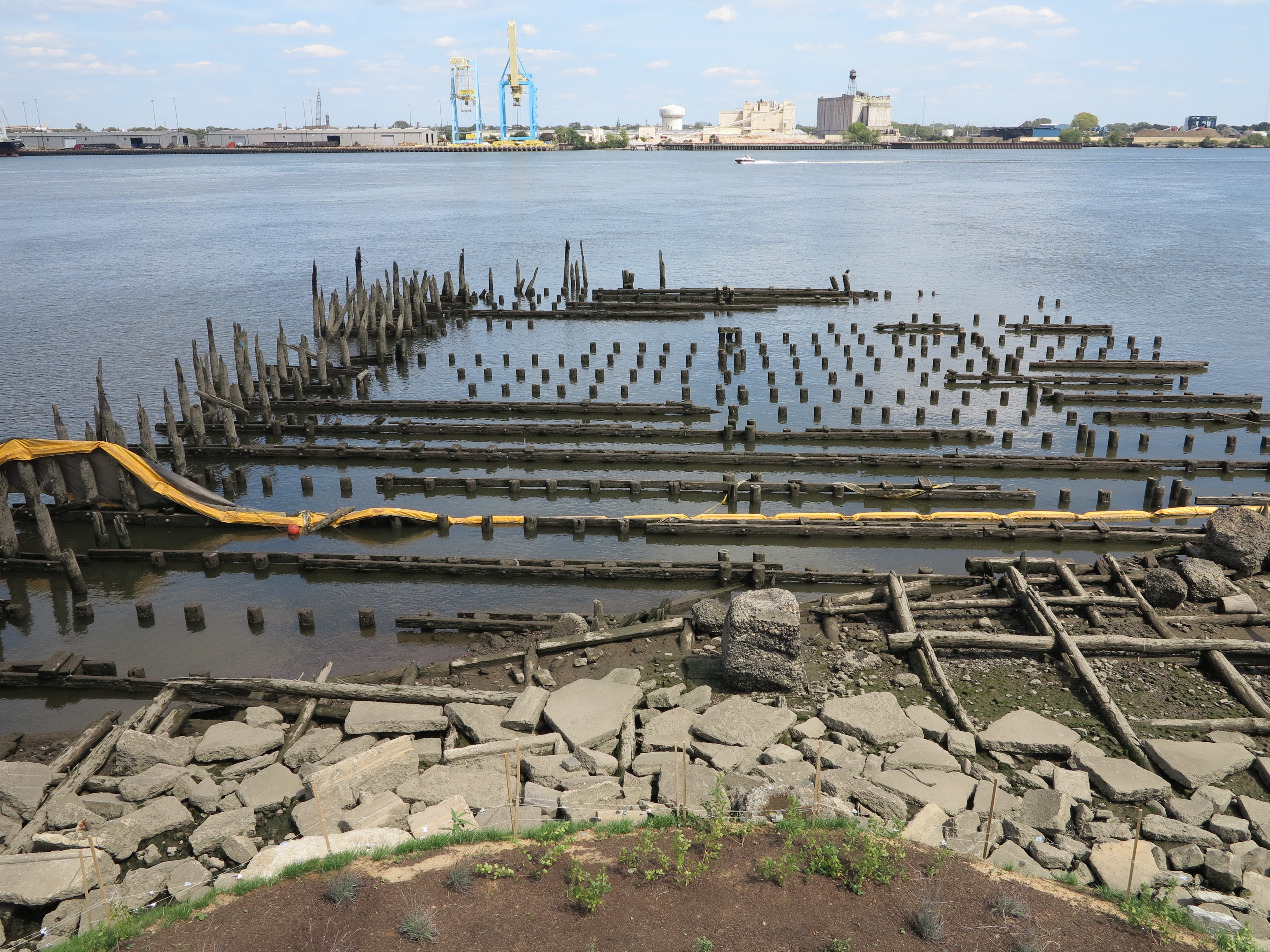 Old pilings provide wildlife habitat.