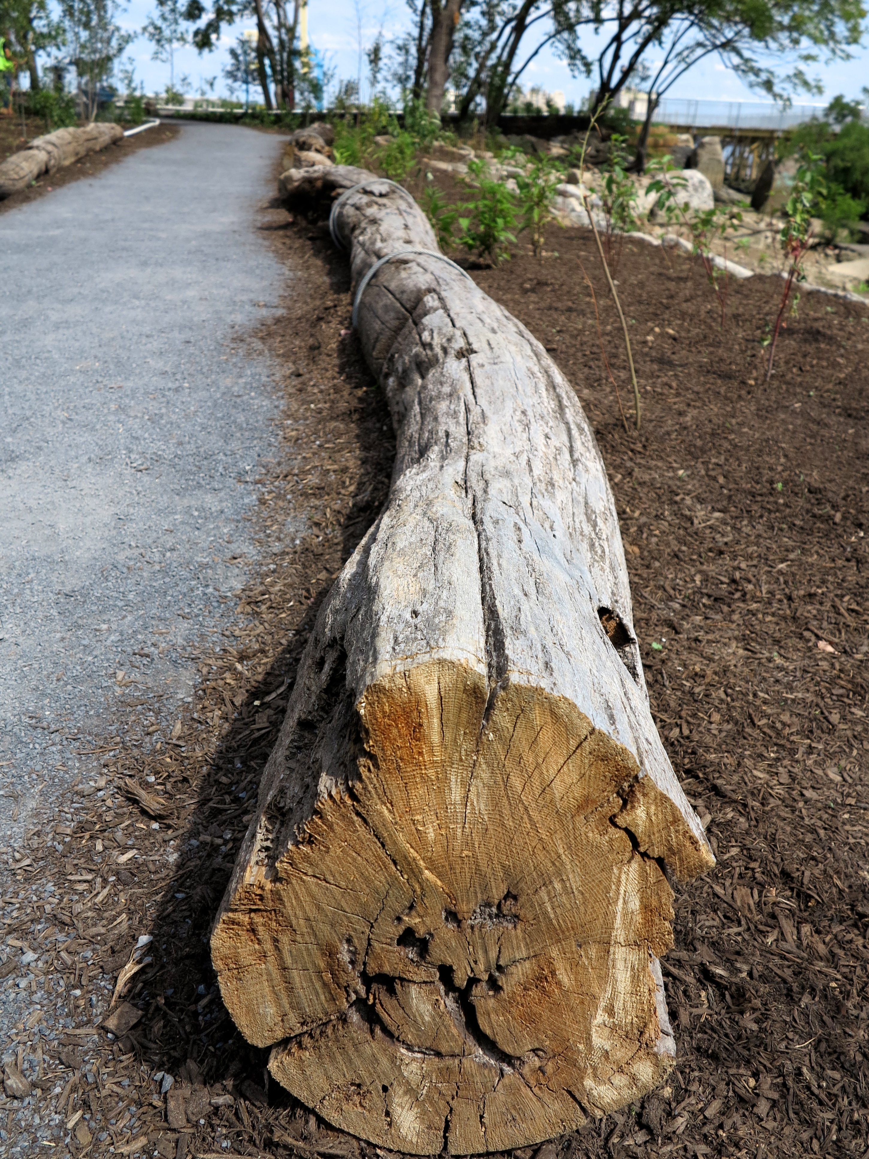 Paths are lined with reclaimed wood and stone