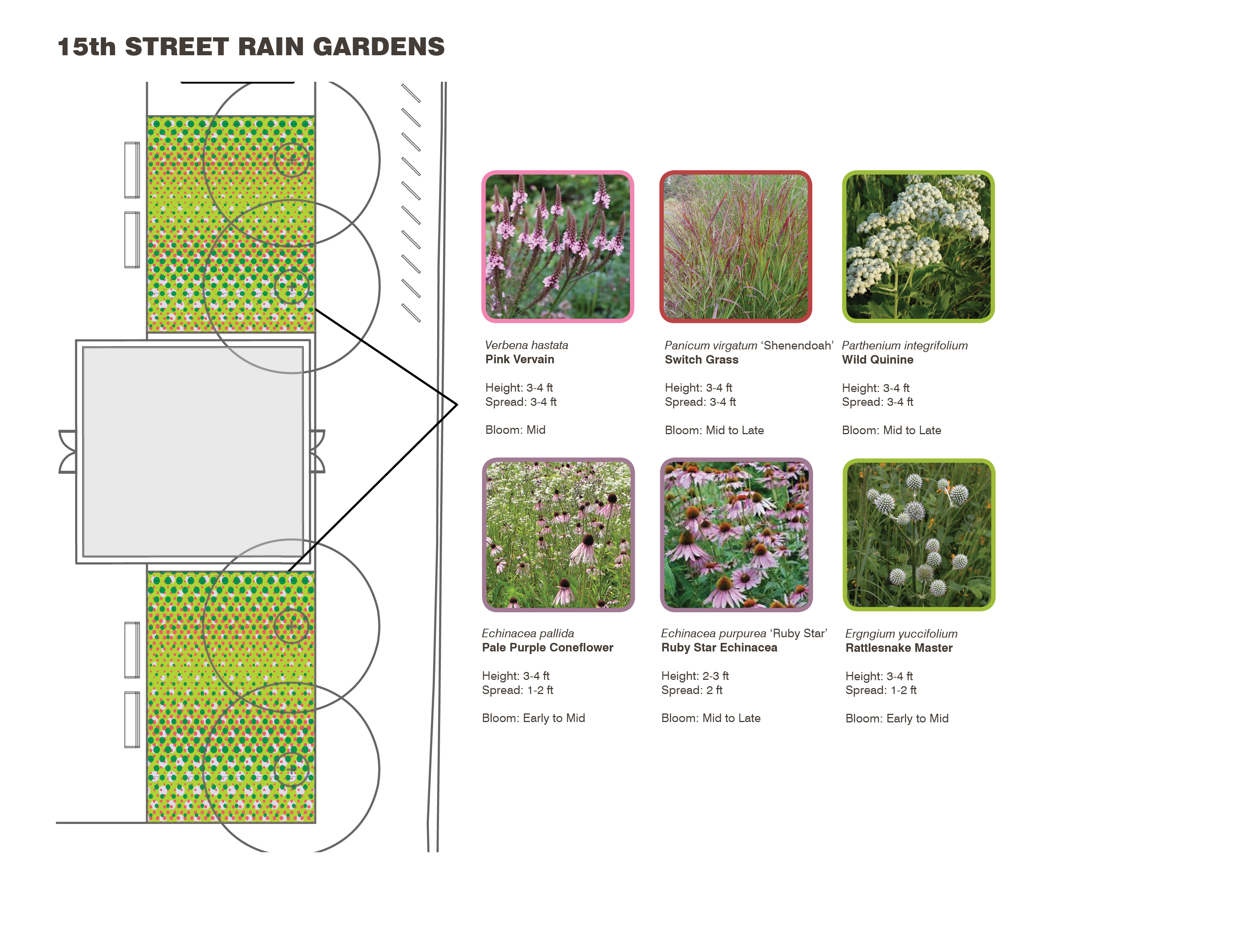 Rain Garden planting plan of LOVE Park / JFK Plaza, October 2015 | Hargreaves