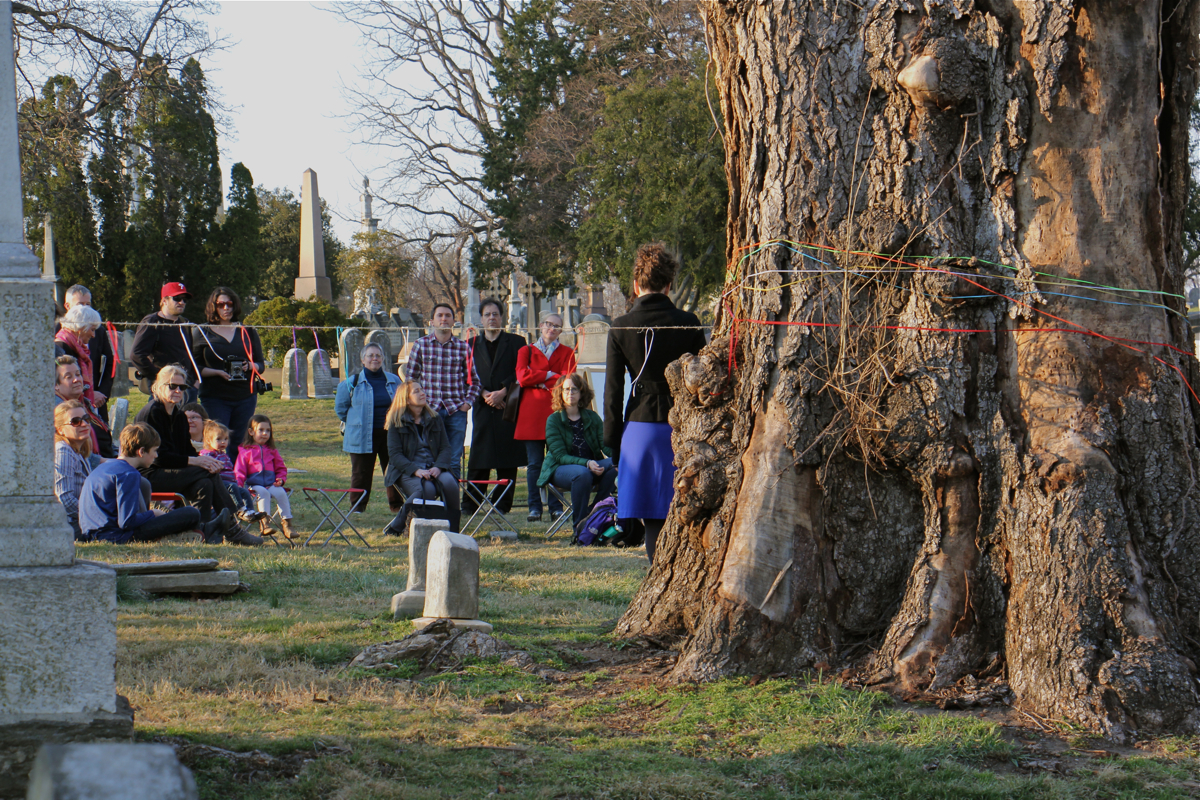 As the sun sets, a small group gathers to mourn the loss of the last English elm trees in The Woodlands. (Emma Lee/WHYY)
