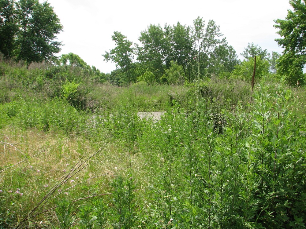 Vacant property across Lindbergh Blvd from the Heinz National Wildlife Refuge where Korman wants to build 722-units of rental housing.