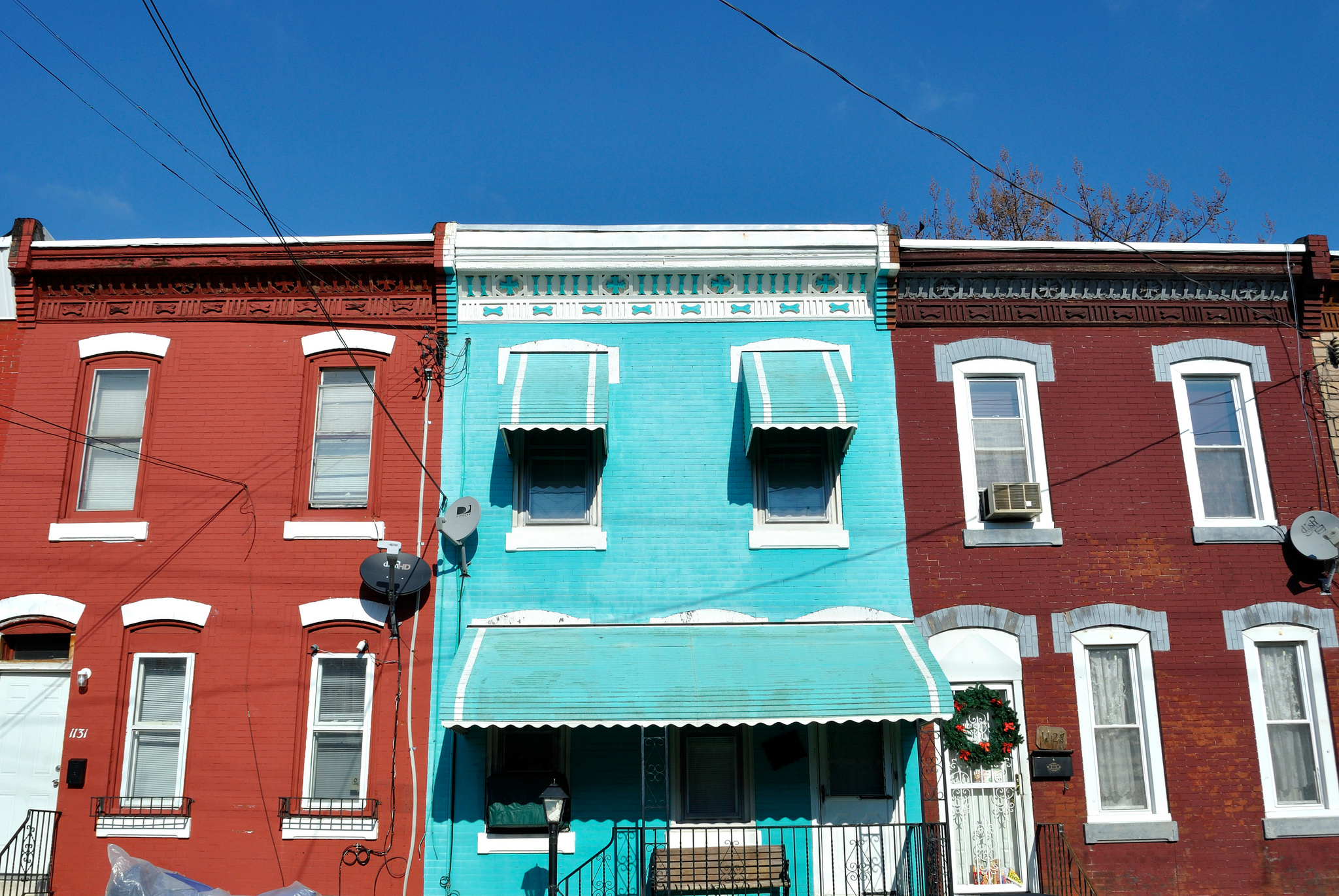 Miami Vice Blue, Fairhill | Julia Rowe, EOTS Flickr Group