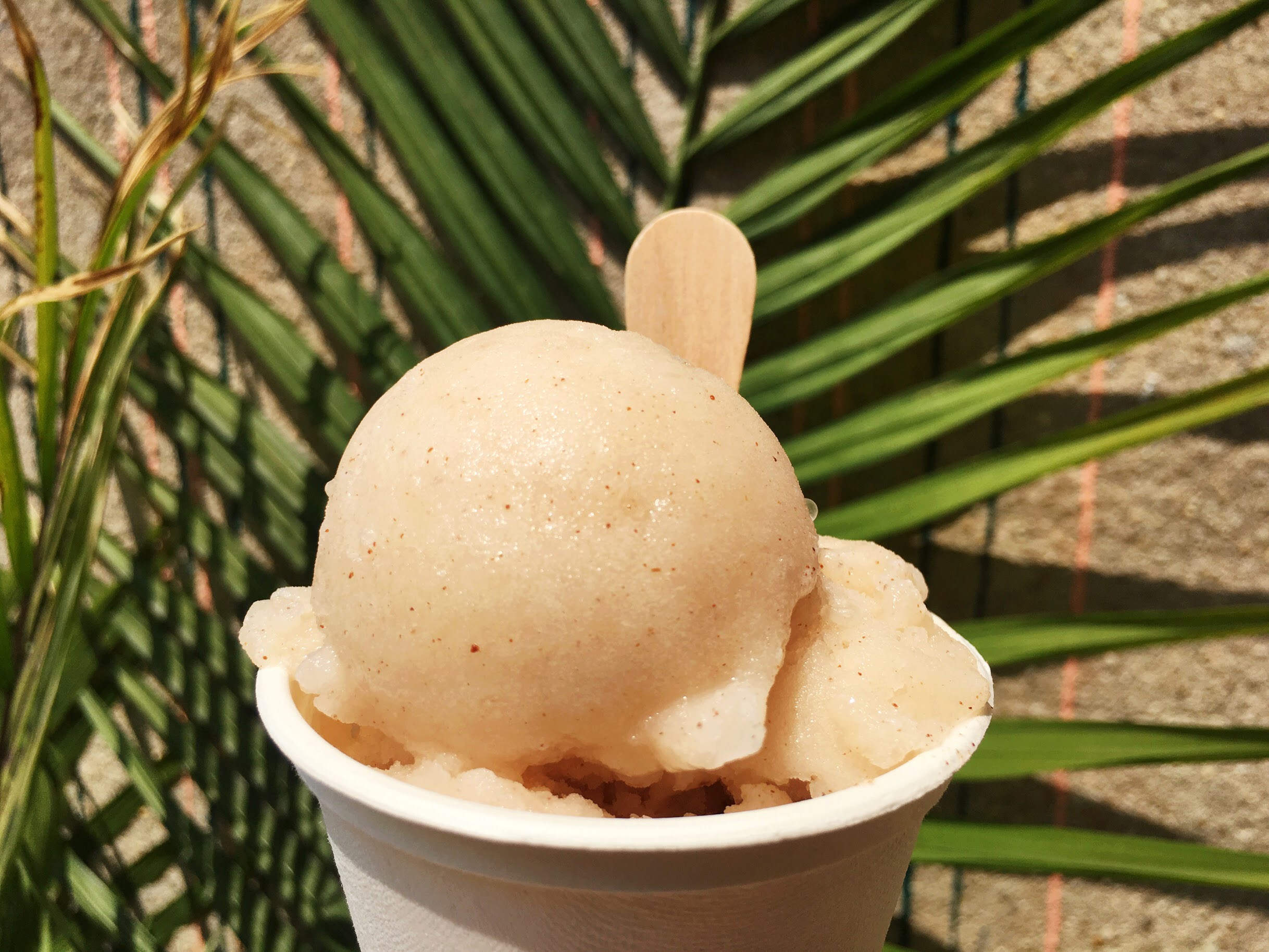 Cocochata Watershed Ice. Credit: Little Baby's Ice Cream