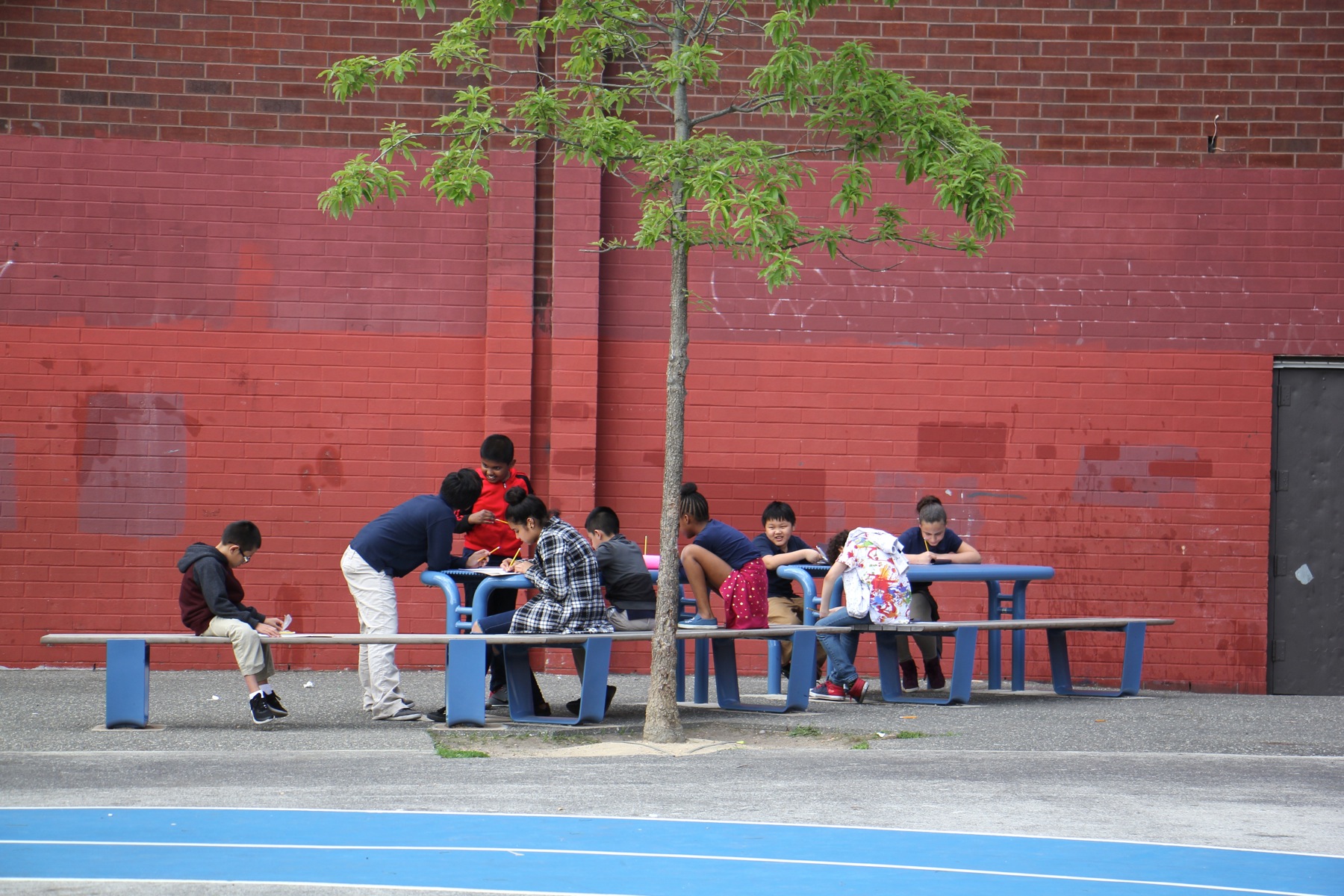 Trees shade outdoor learning spaces at Taggart School. (Emma Lee/WHYY)