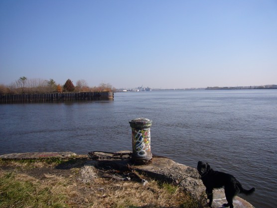 View from the Conrail property. Photo from the Central Delaware Master Plan website