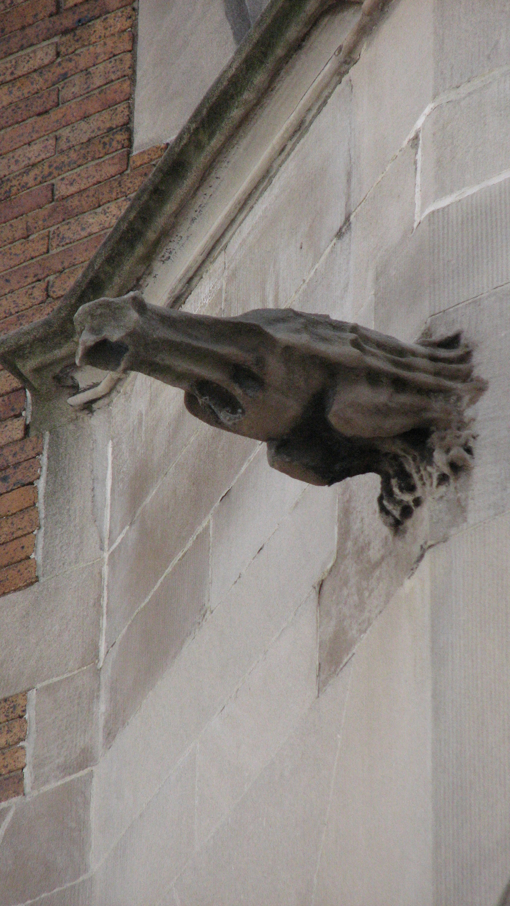 A French gargoyle leaps from the side of the house.