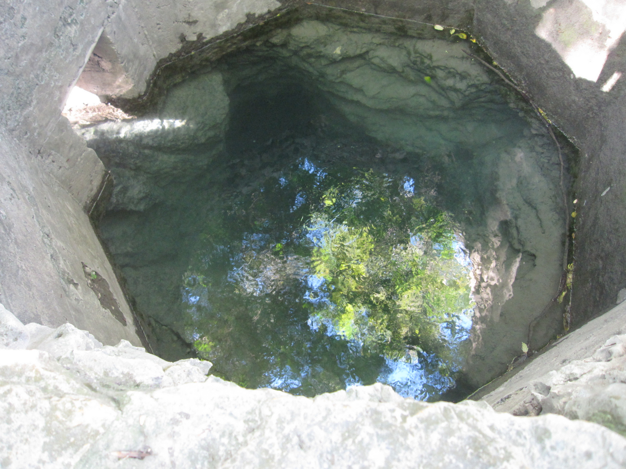 Blue Hole feeds San Antonio River