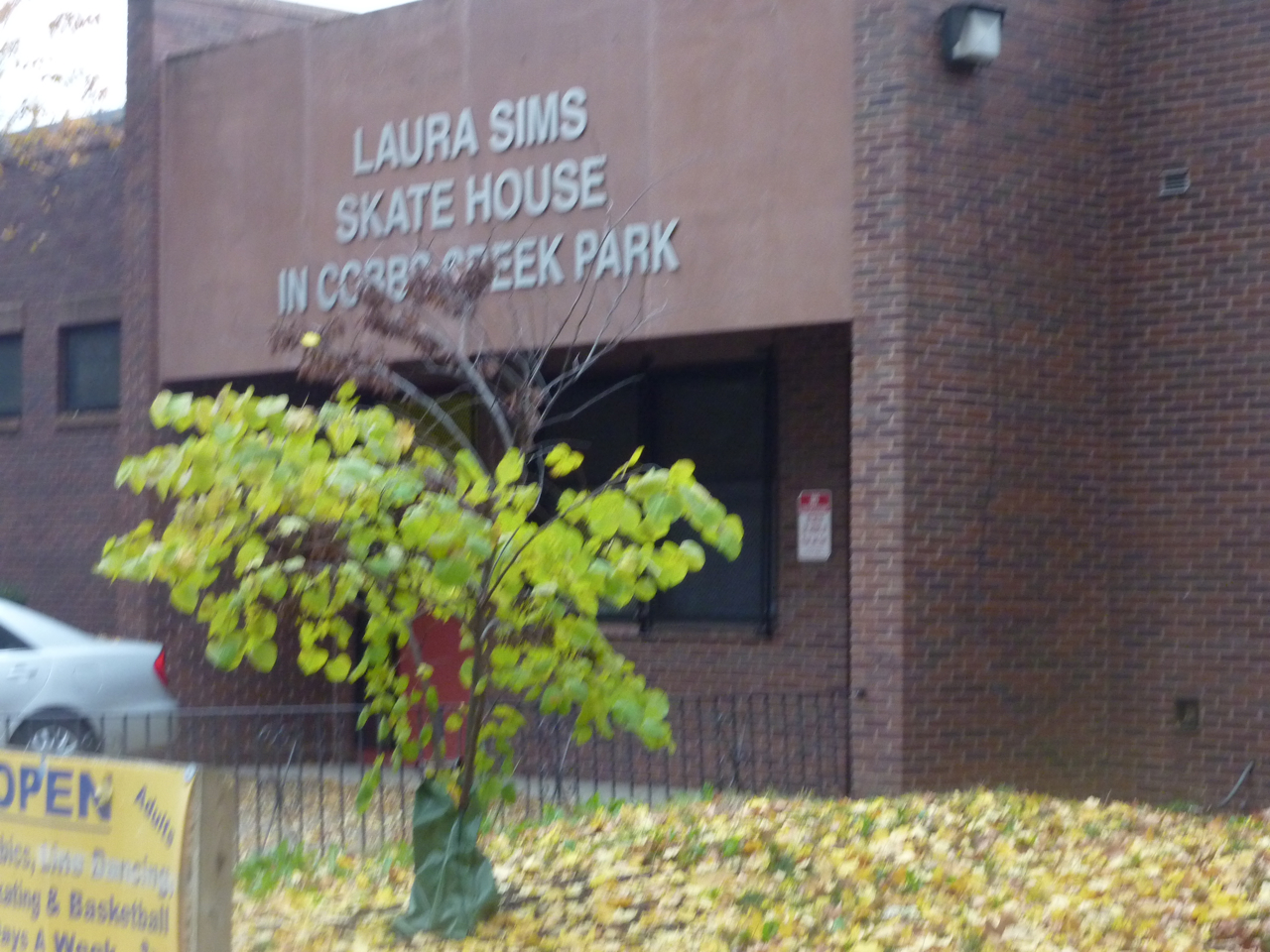 Laura Sims Skate House