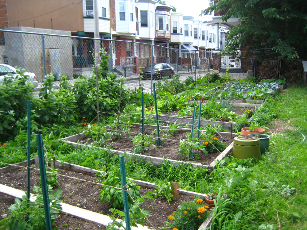 Pocket Farm in April, 2011 | via PhiladelphiaGreen, PHS