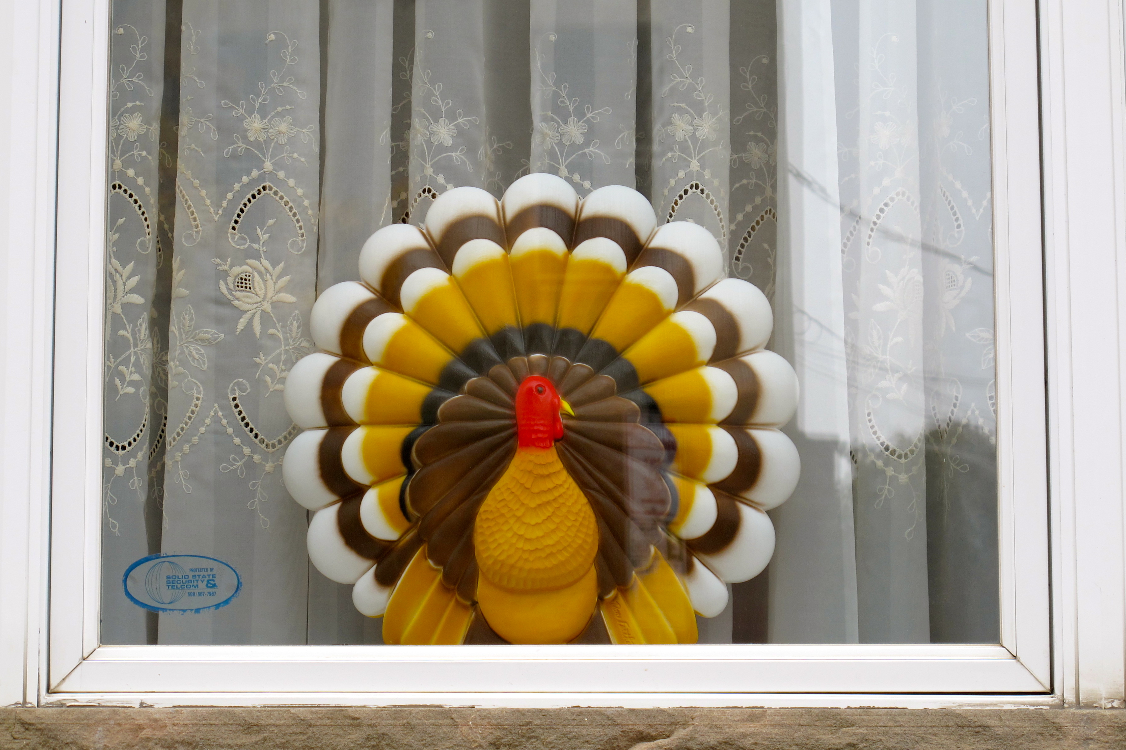 The safest turkey of all.