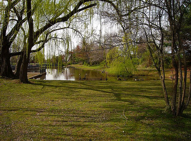 Pleasant Hill Park fishing pond c. 2008 | DRCC