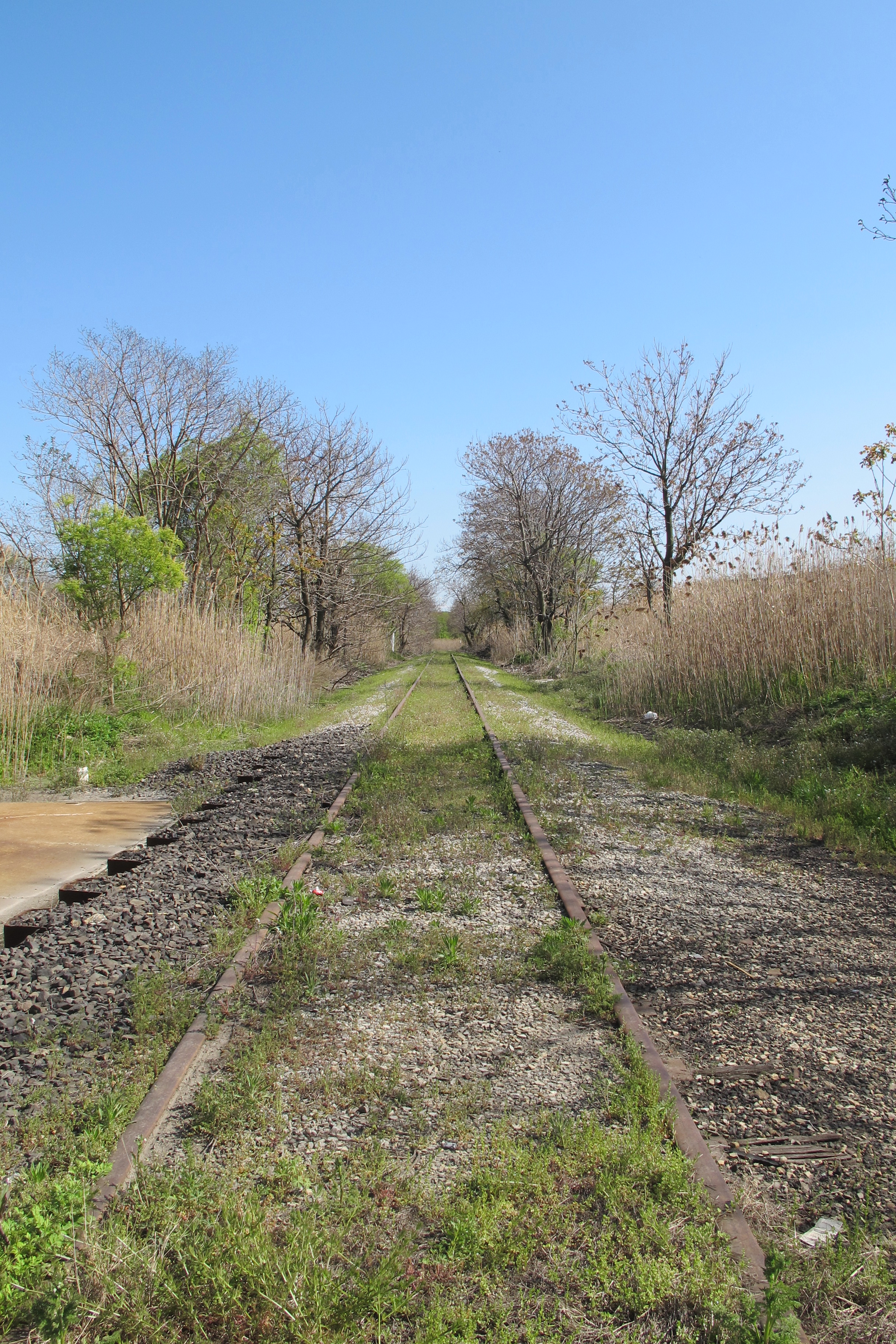 The 60th Street Rail Corridor is an abandoned right of way that could be creatively reused.