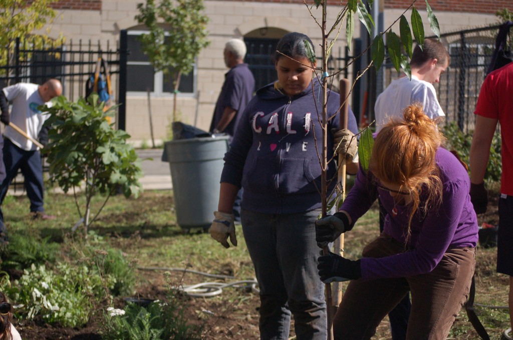The Philadelphia Orchard Project wants volunteers for planting days over the coming weeks. | courtesy of Philadelphia Orchard Project