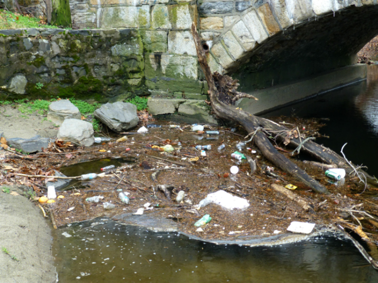A familiar scene, litter and trash get caught along the shore of TTF-Watershed creeks, Photo courtesy of Kelly O'Day