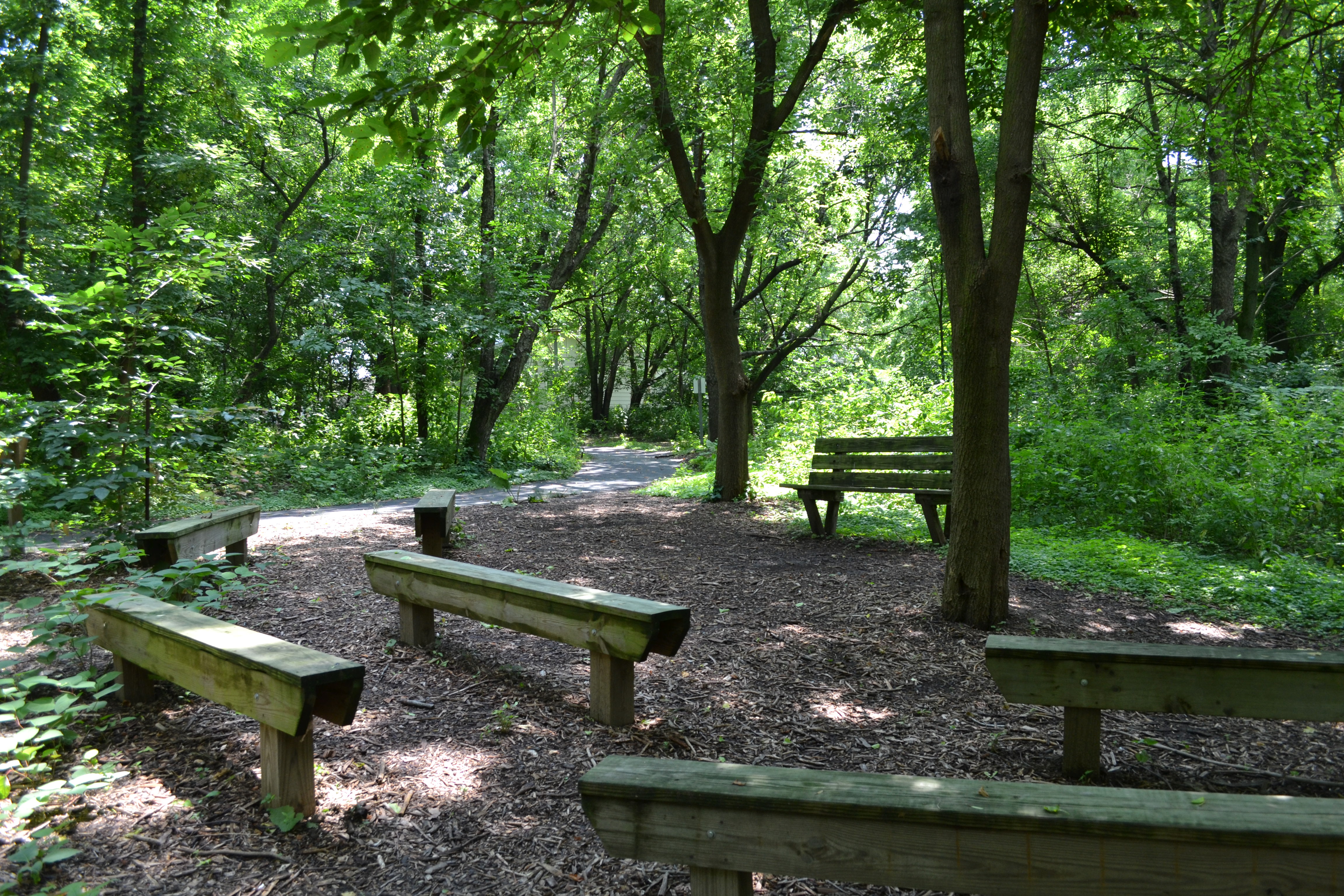 A small amphitheater offers an outdoor classroom and learning space