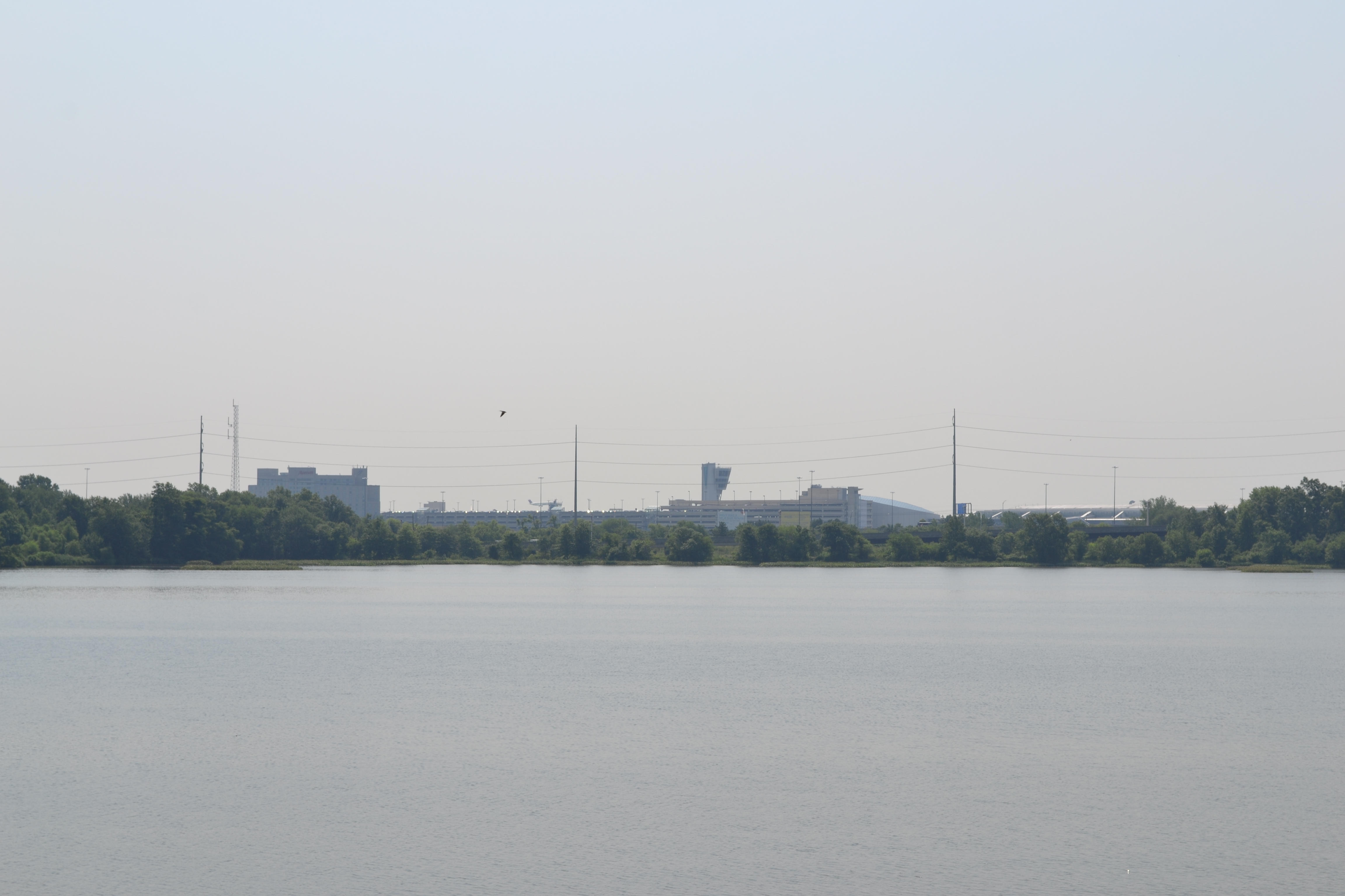 At one end of impoundment the Philadelphia International Airport's buildings stand above the tree line 