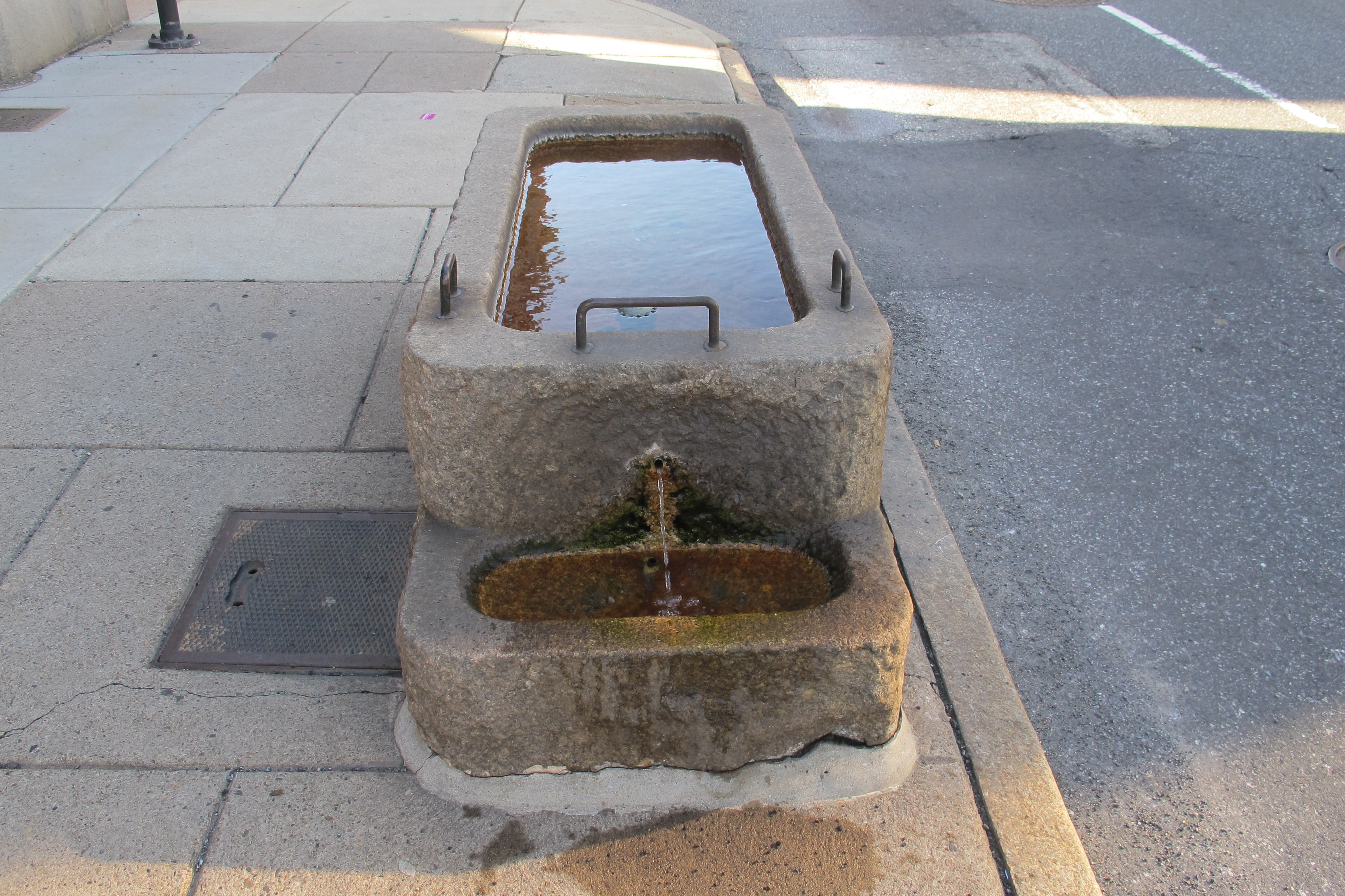 Bi-level troughs, like this one outside Fireman's Hall on North 2nd Street, allowed for smaller animals like dogs to drink from the fountains too.