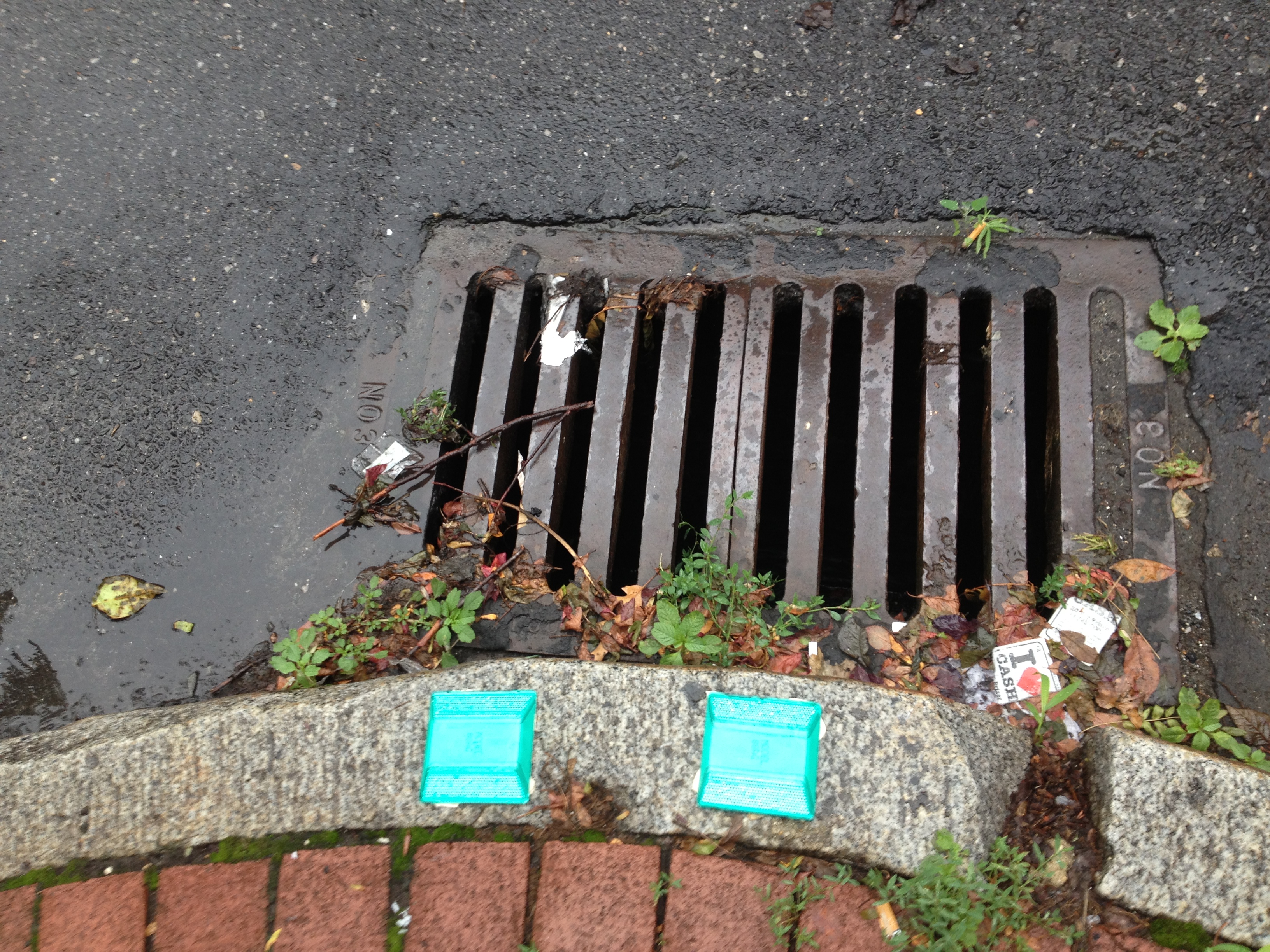 Green reflectors at storm drains trace the outflow pipe.