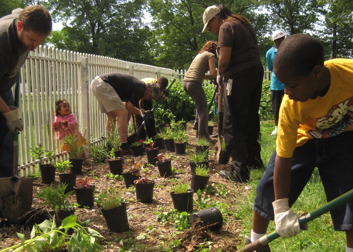 Volunteers in action at Woodford Orchard in Strawberry Mansion. | Philadelphia Orchard Project