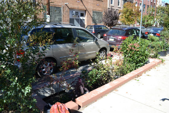 The stormwater planter at 13th and Wharton streets is the first of its kind in Philadelphia