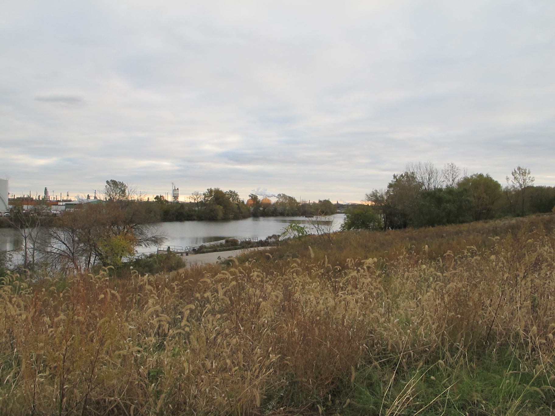 Looking south from the new trail at Bartram's Garden to the Schuylkill River (and Sunoco beyond).