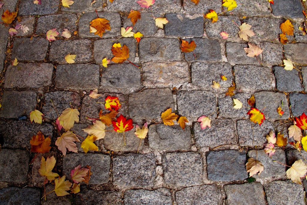 Autumn street| Eyes on the Street Flickr Group