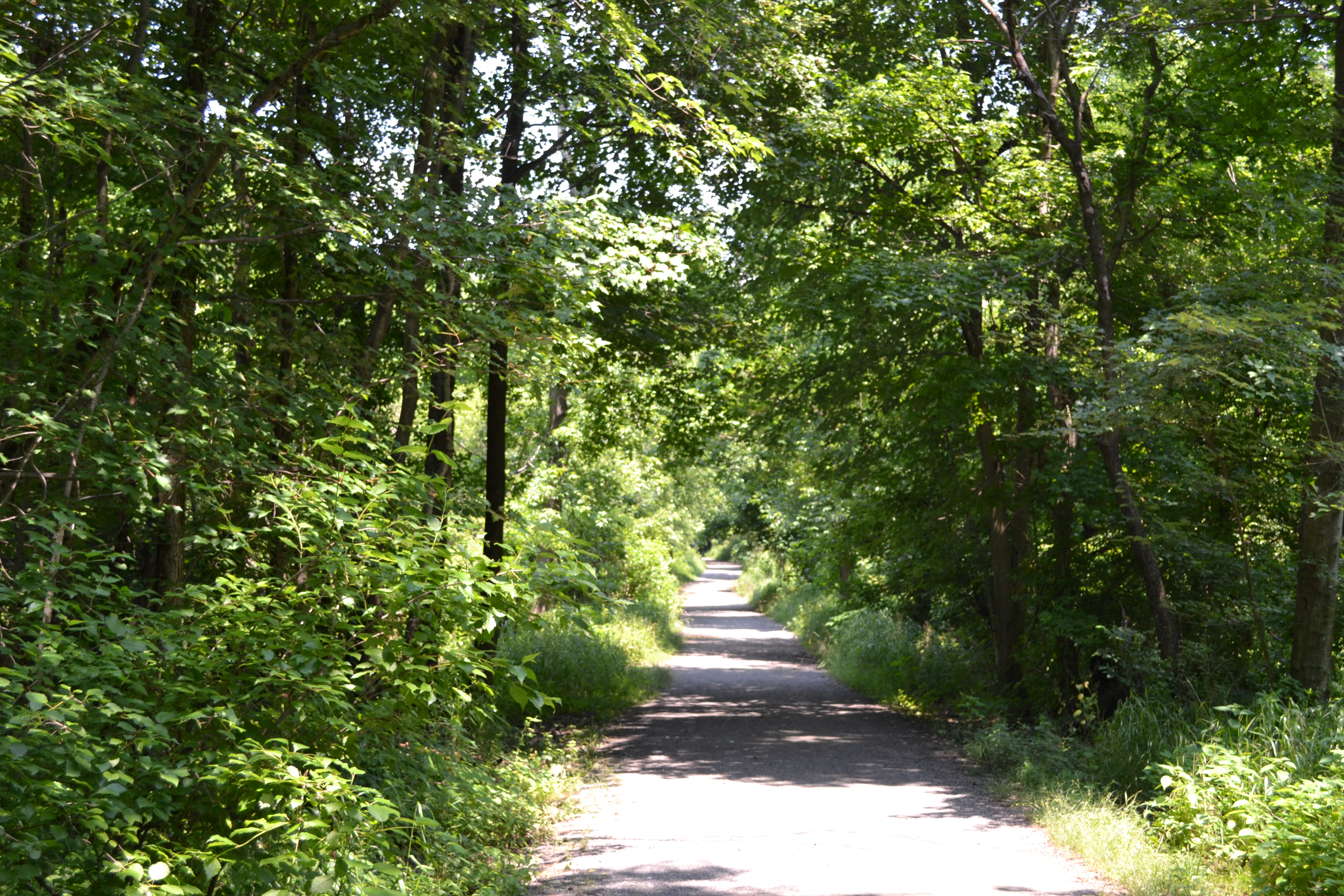 In total there are more than 10 miles of hiking trails, many of which are open to cyclists
