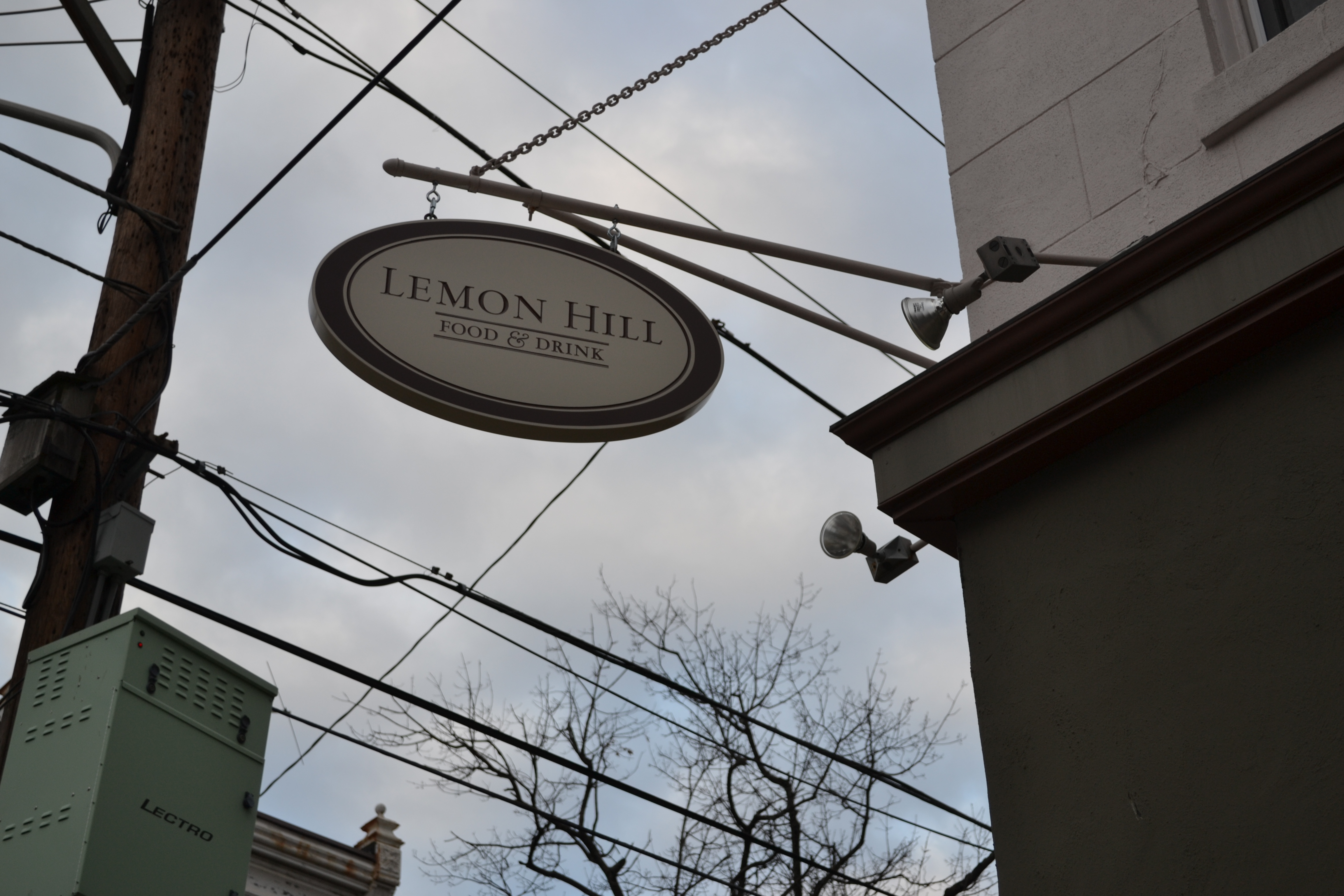 Lemon Hill, 25th and Aspen streets