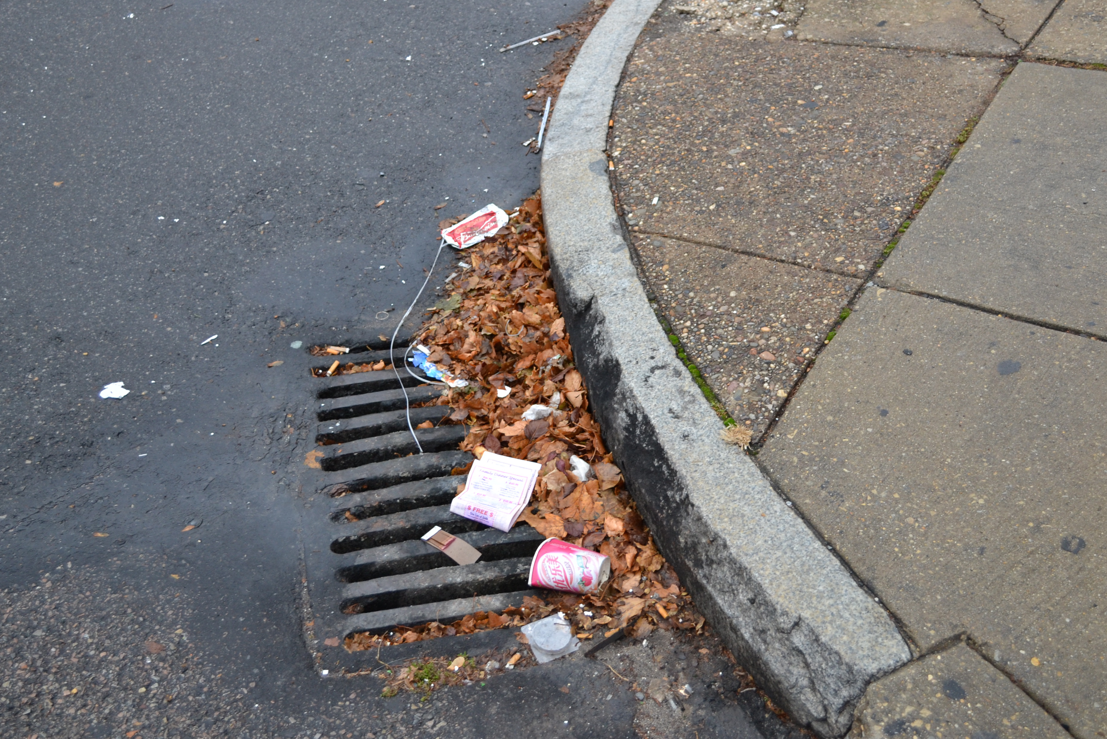 Litter covers a storm drain in PSCA's coverage area