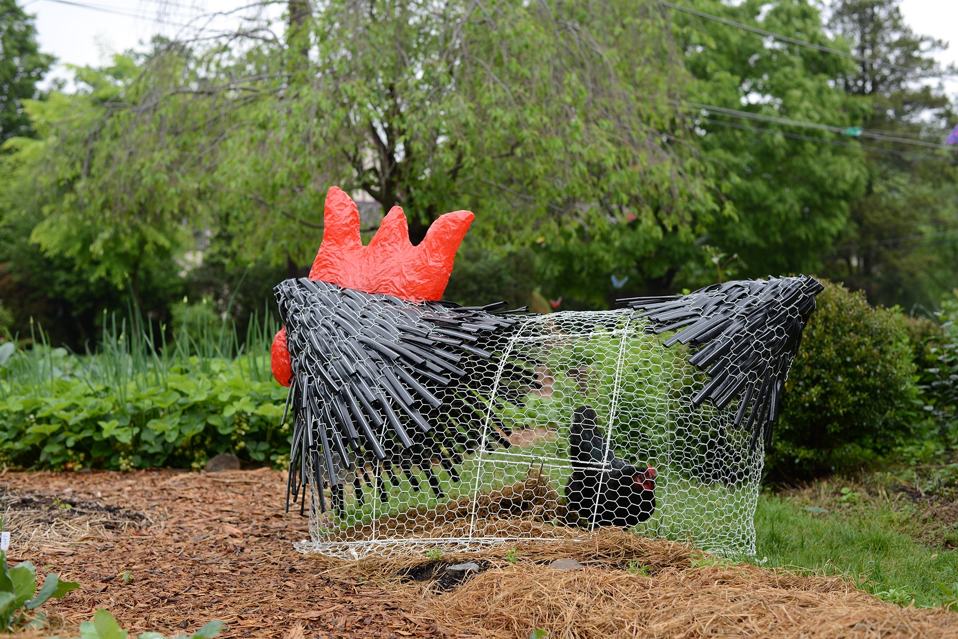 Meei-Ling Ng's The Chicken Tractor sculpture, Photo provided by Fairmount CDC