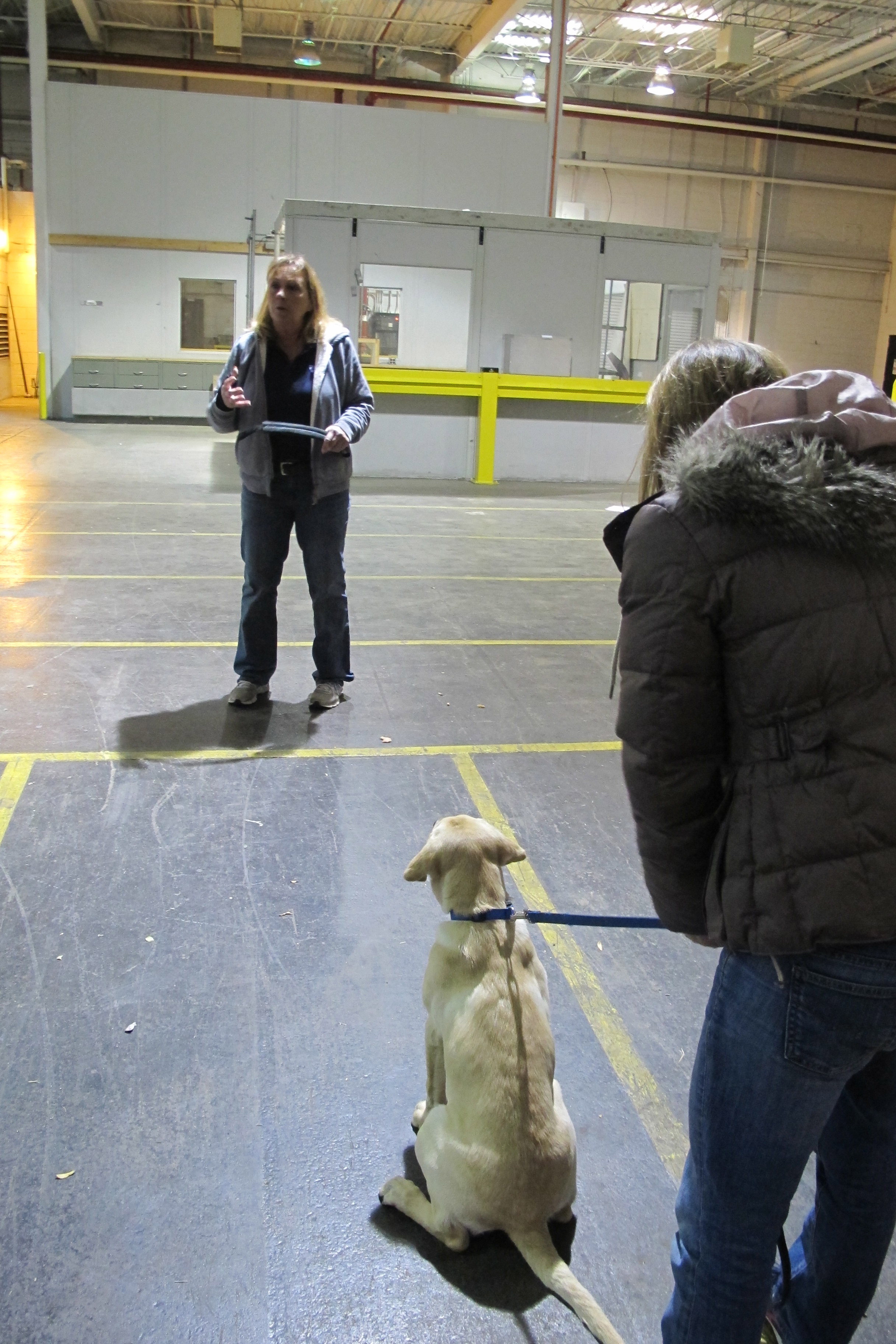 One working dog in training demonstrates a search in a warehouse space.