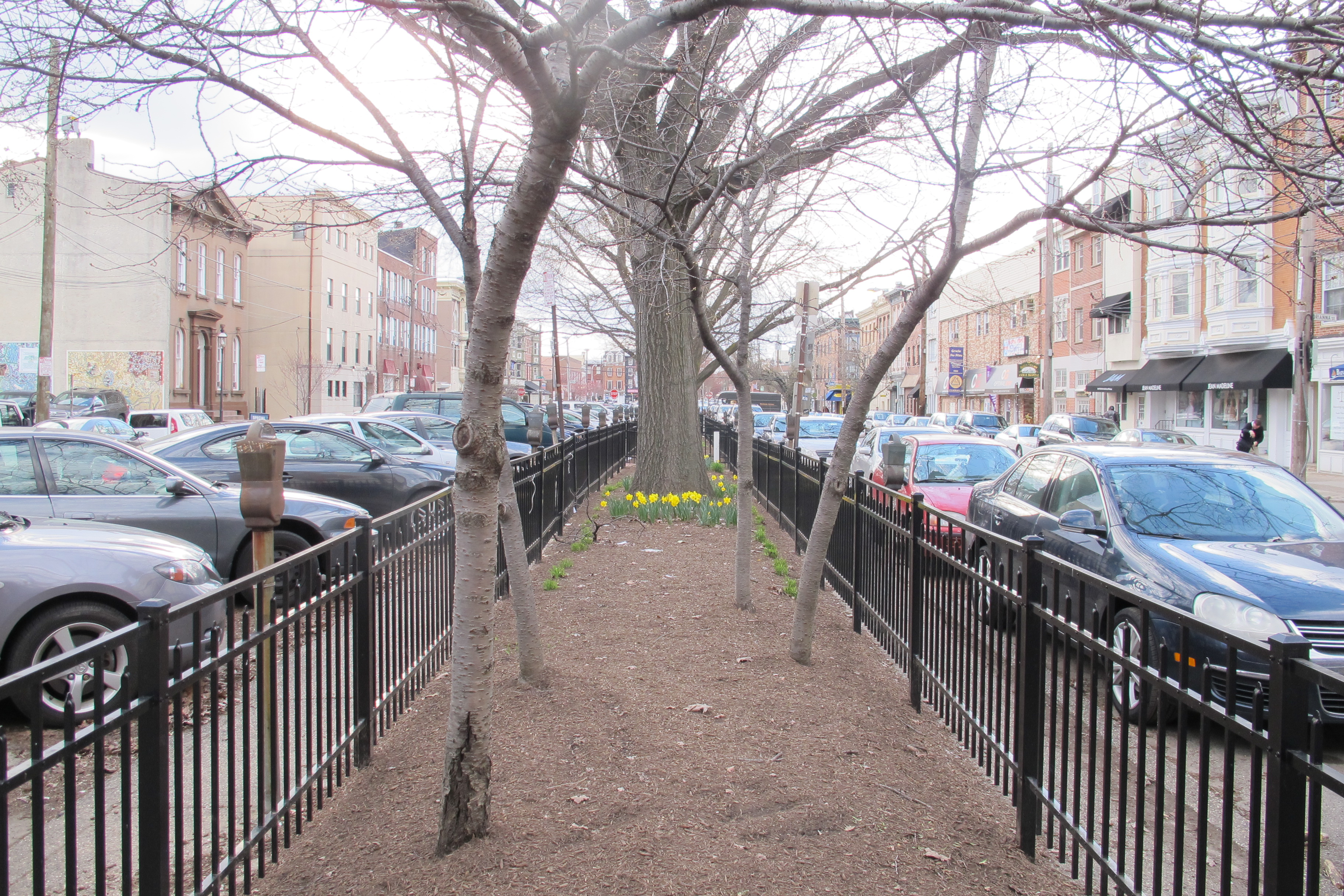 Parking or Park?: Looking down the center of Bainbridge Green in early spring 2013.