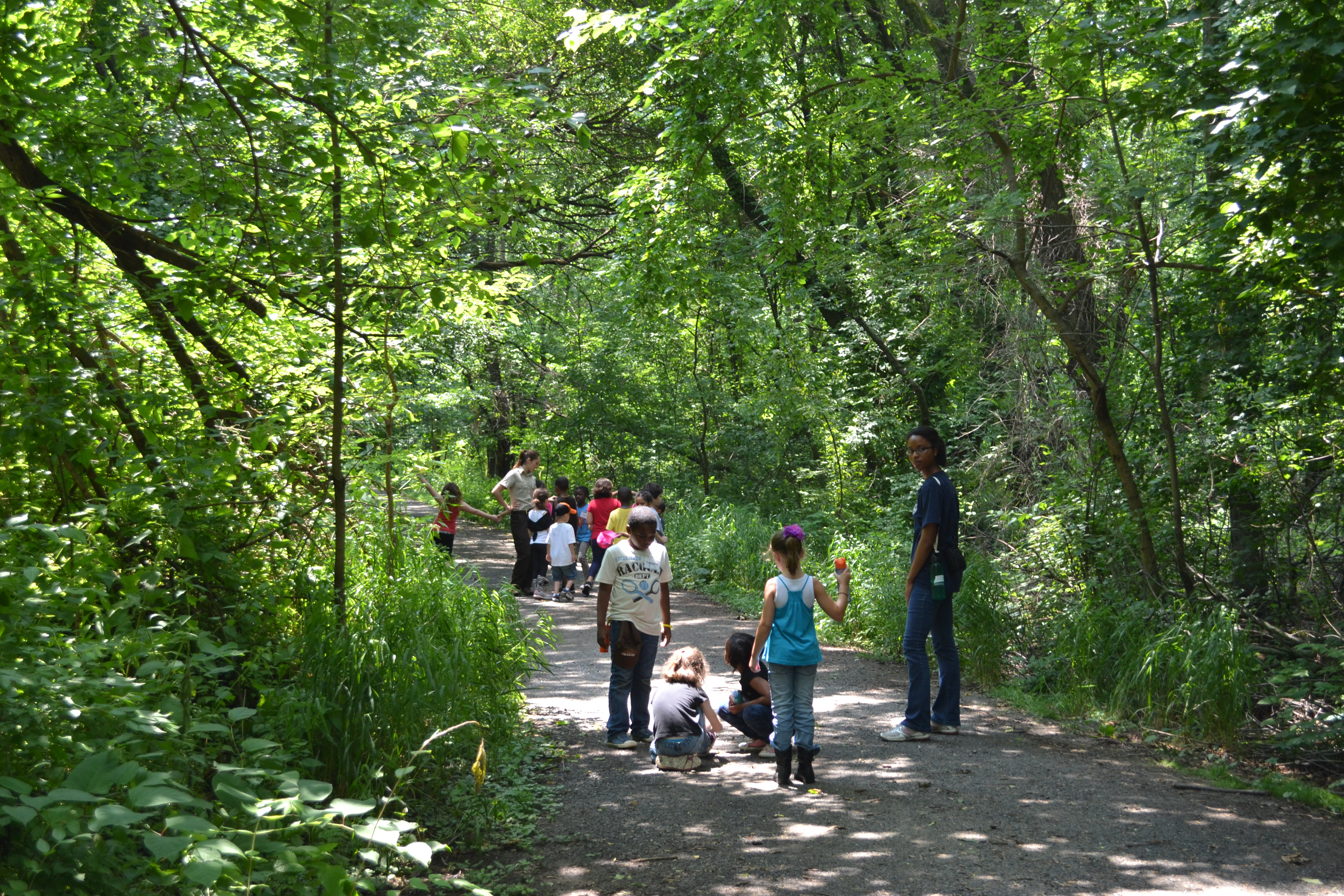 Students at the John Heinz day camp headed out for a nature walk