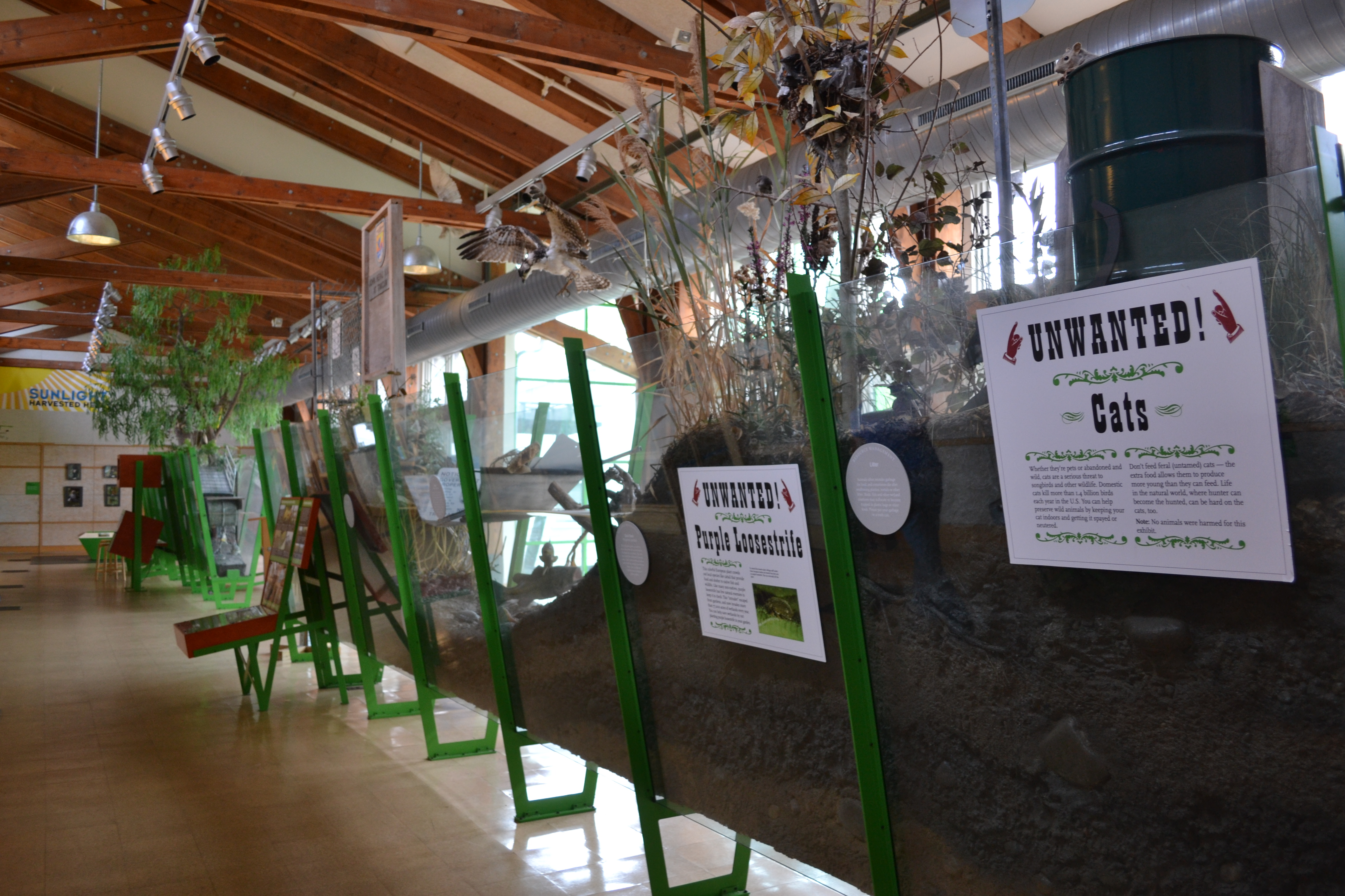 The Cusano Environmental Education Center showcases cross sections of the different habitats