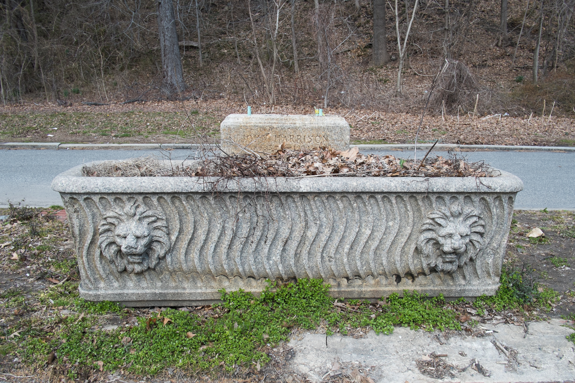 This silted up trough with the lion's head motif was donated to the memory of John Harrison, sits along Kelly Drive near Fountain Green.