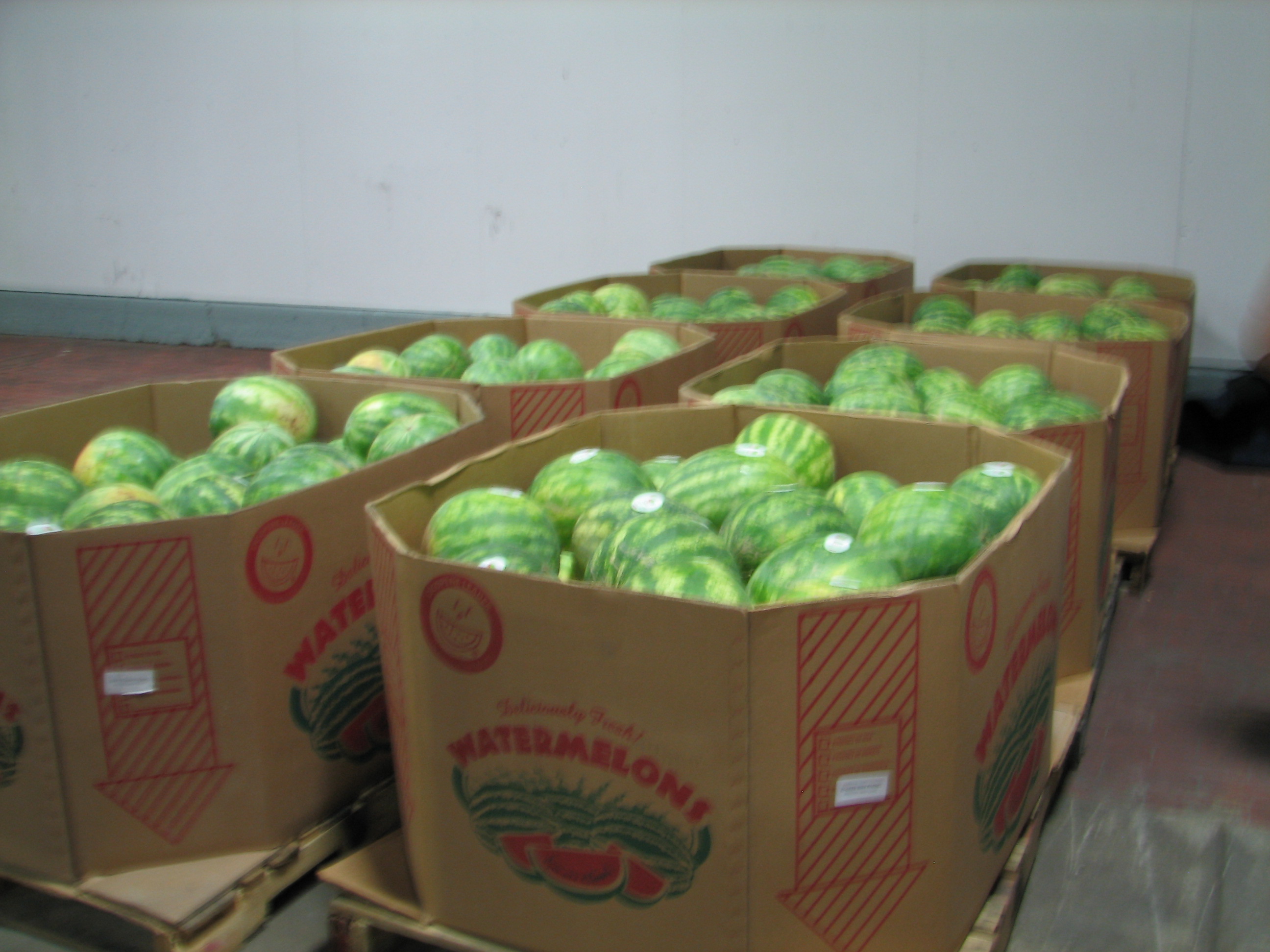 Watermelons at the Procacci warehouse