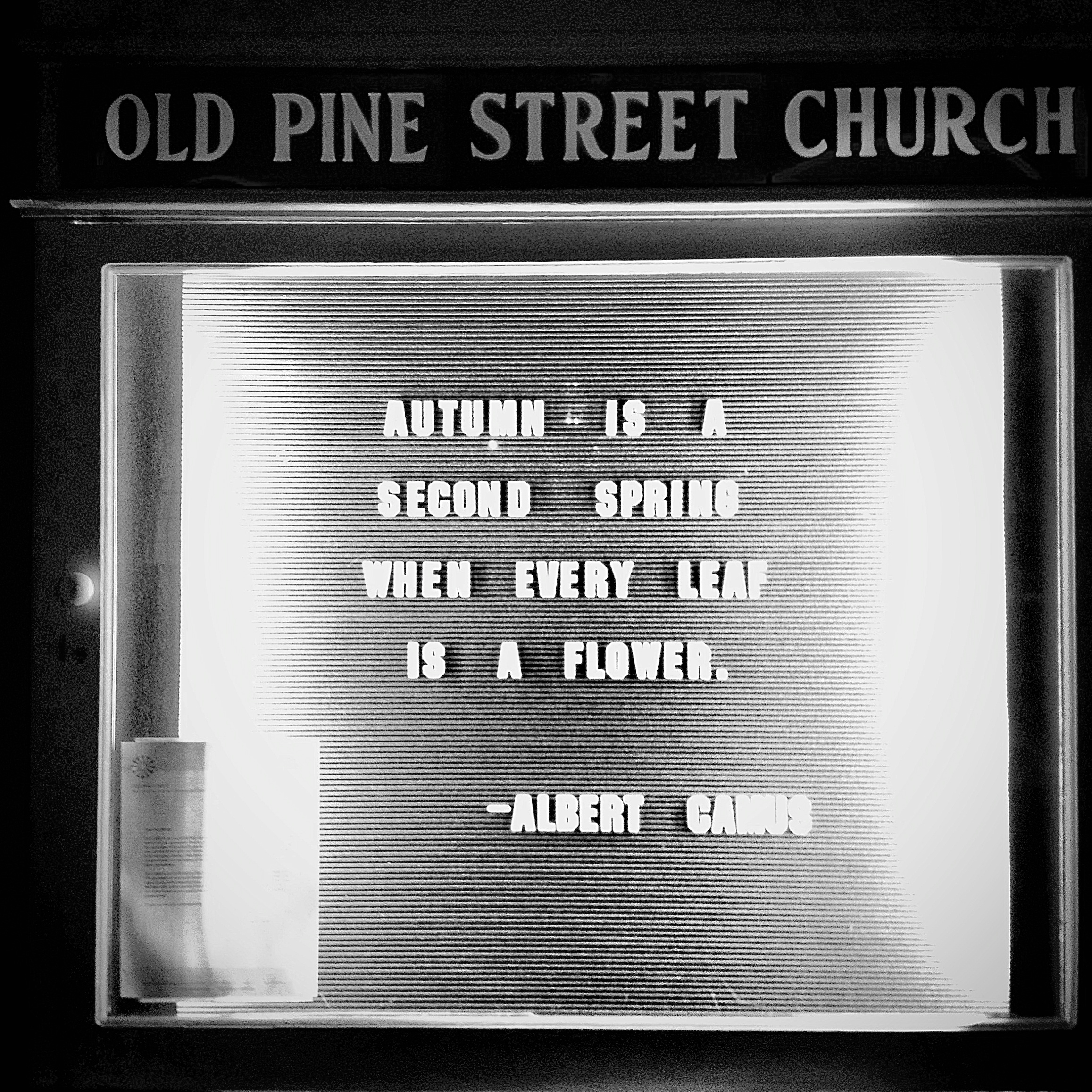 Autumn is a second spring when every leaf is a flower. - Albert Camus, Old Pine Street Church, October 2013