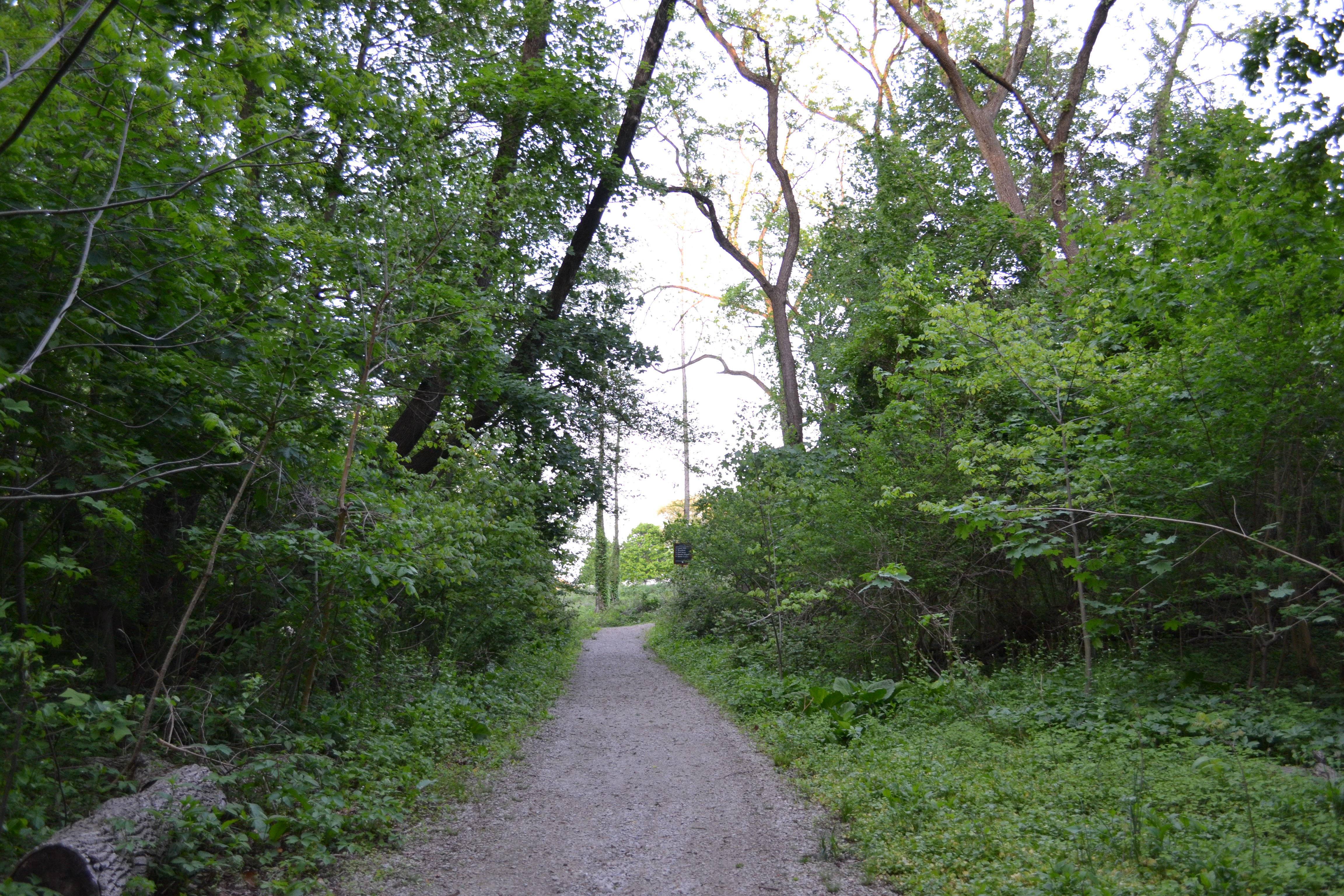 Boxers' Trail is an example of a trail that connects a neighborhood (Strawberry Mansion) to park amenities and the river