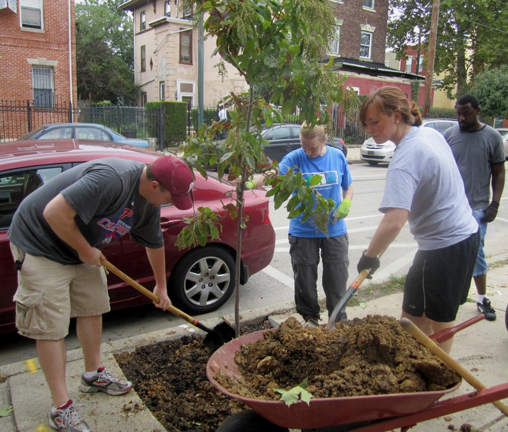 Zac Sivertsen, Sue Pringle, Megan Frink and Harum Ulmer pack dirt around one of the seven trees planted on Sept. 10.