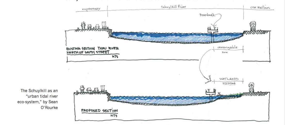 Schuylkill River as an urban tidal ecosysem | by Sean O'Rourke